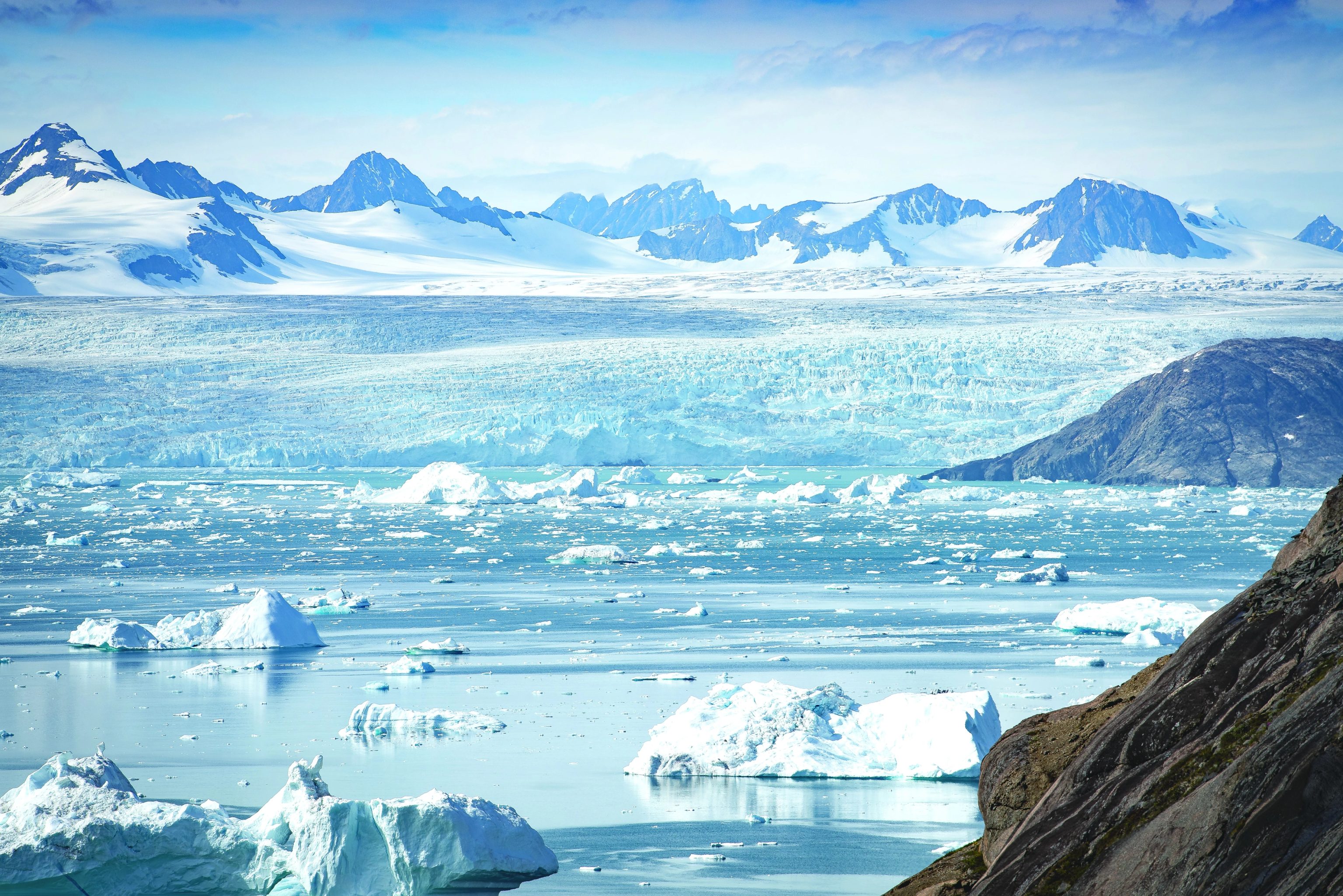 Arctic Polar Bears