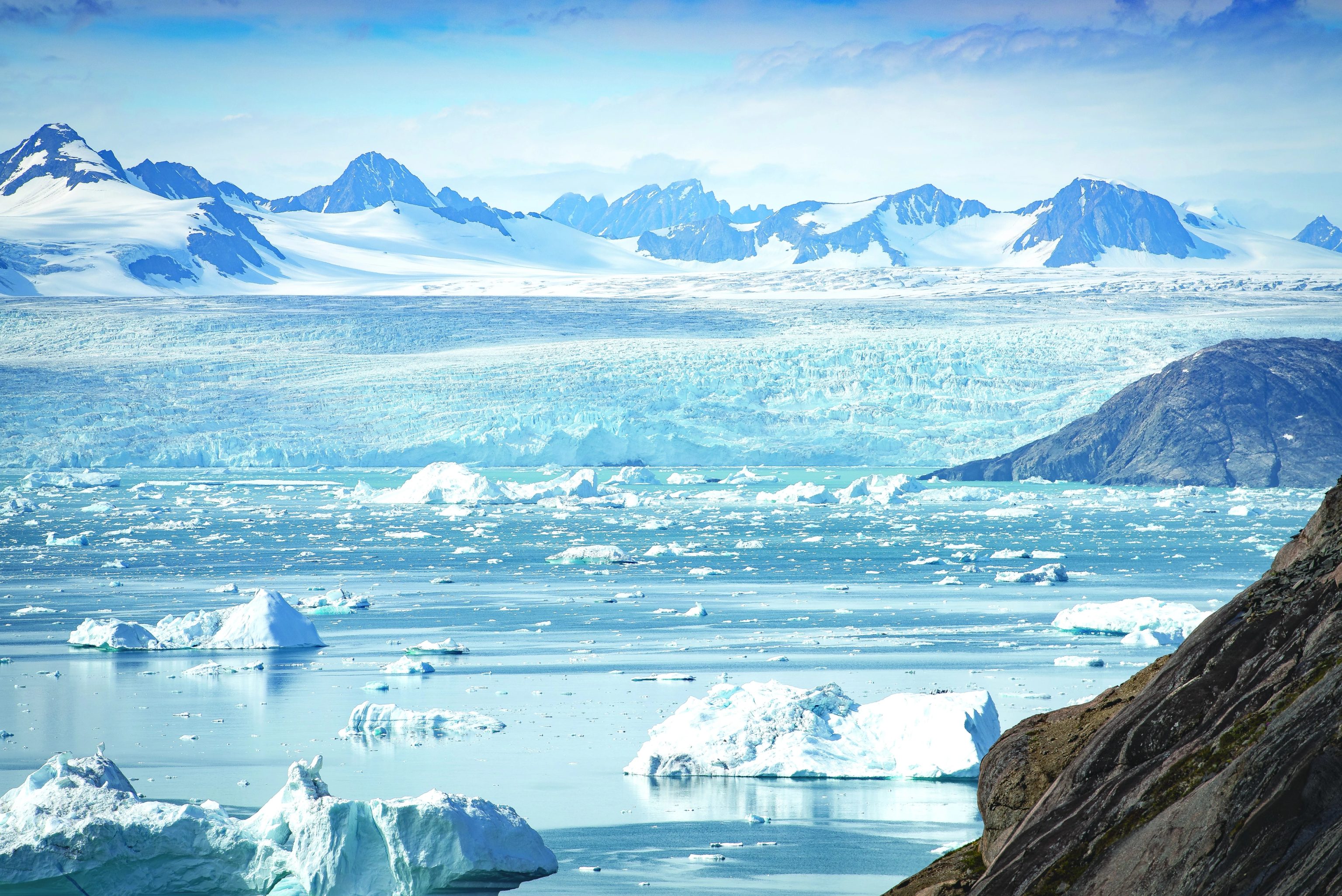Arctic Polar Bears