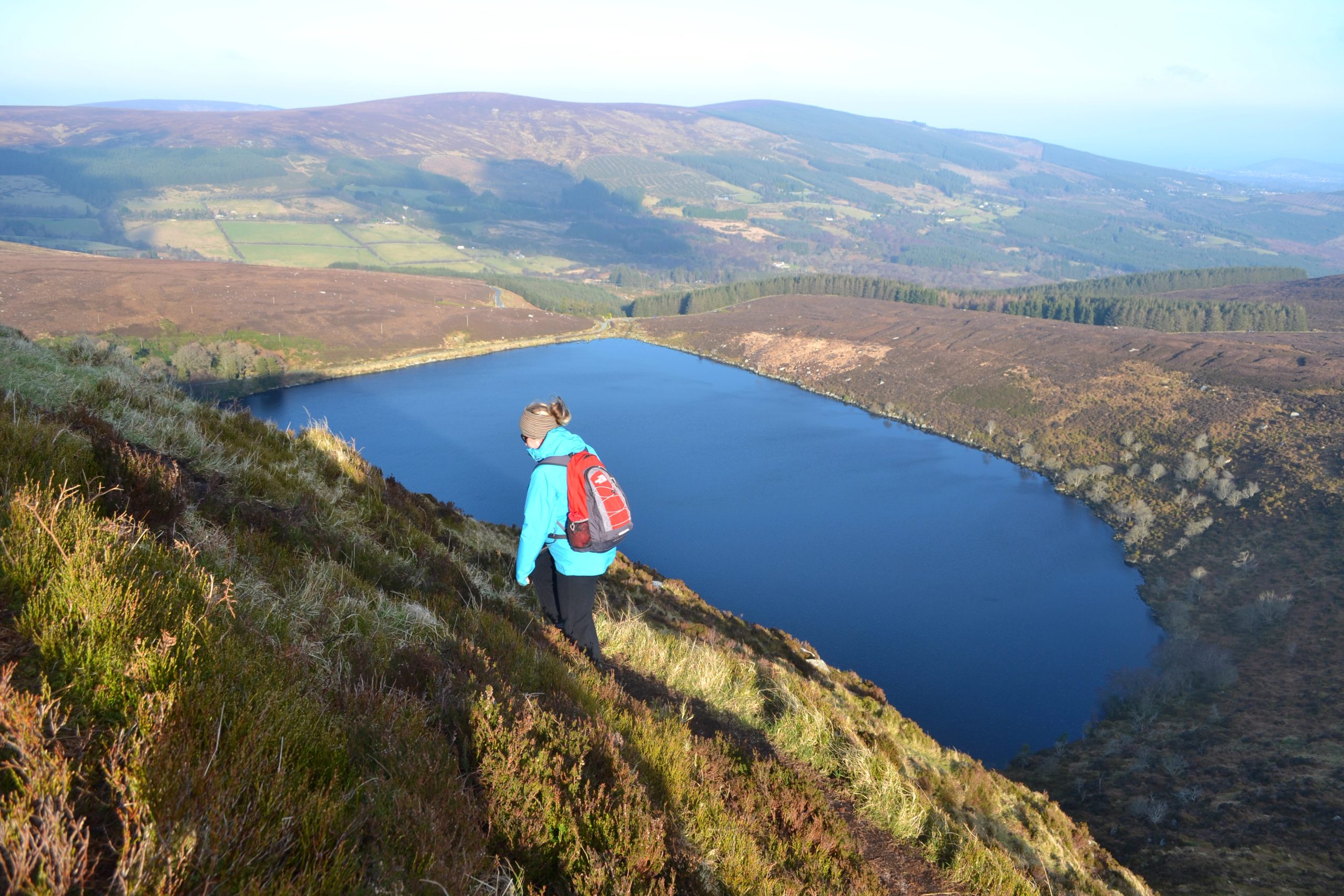 loughbrays