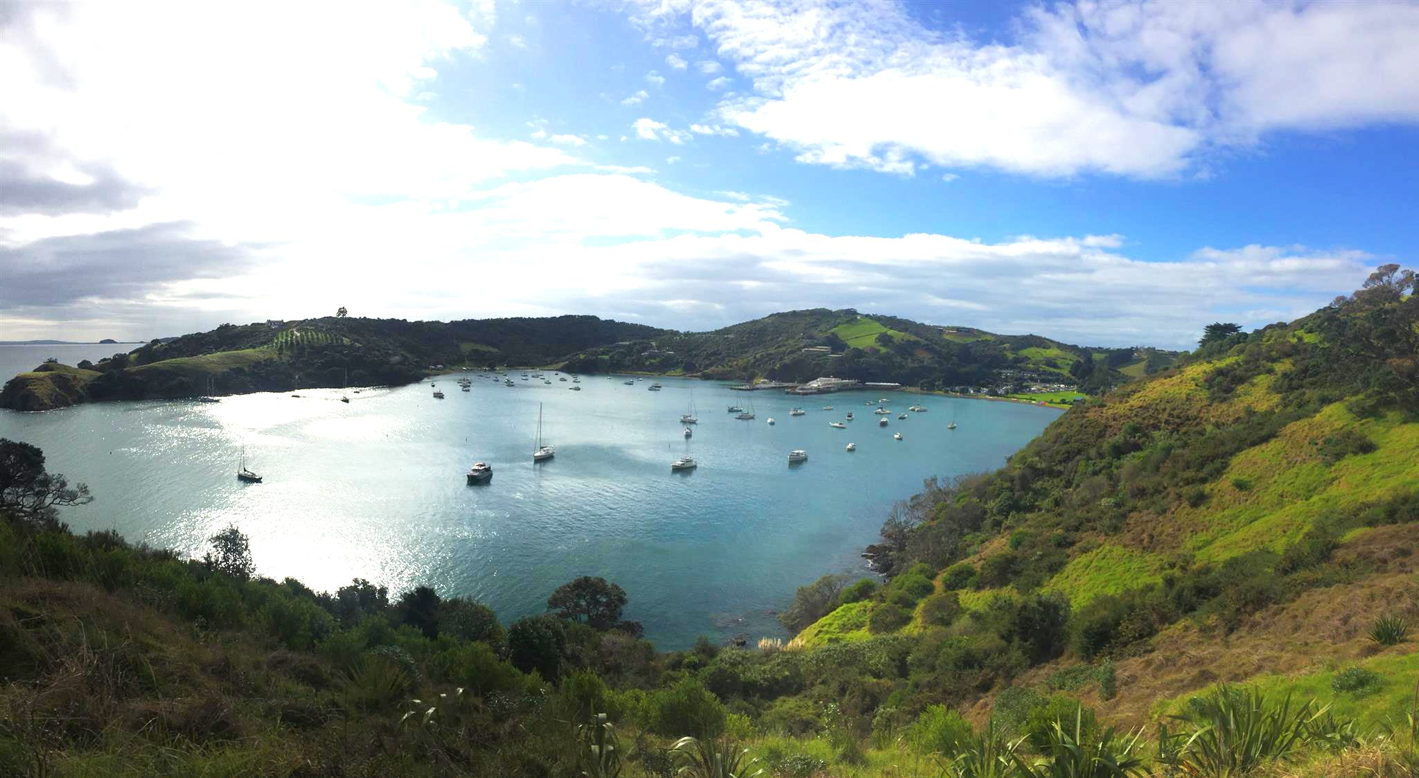 New Zealand Adventures
