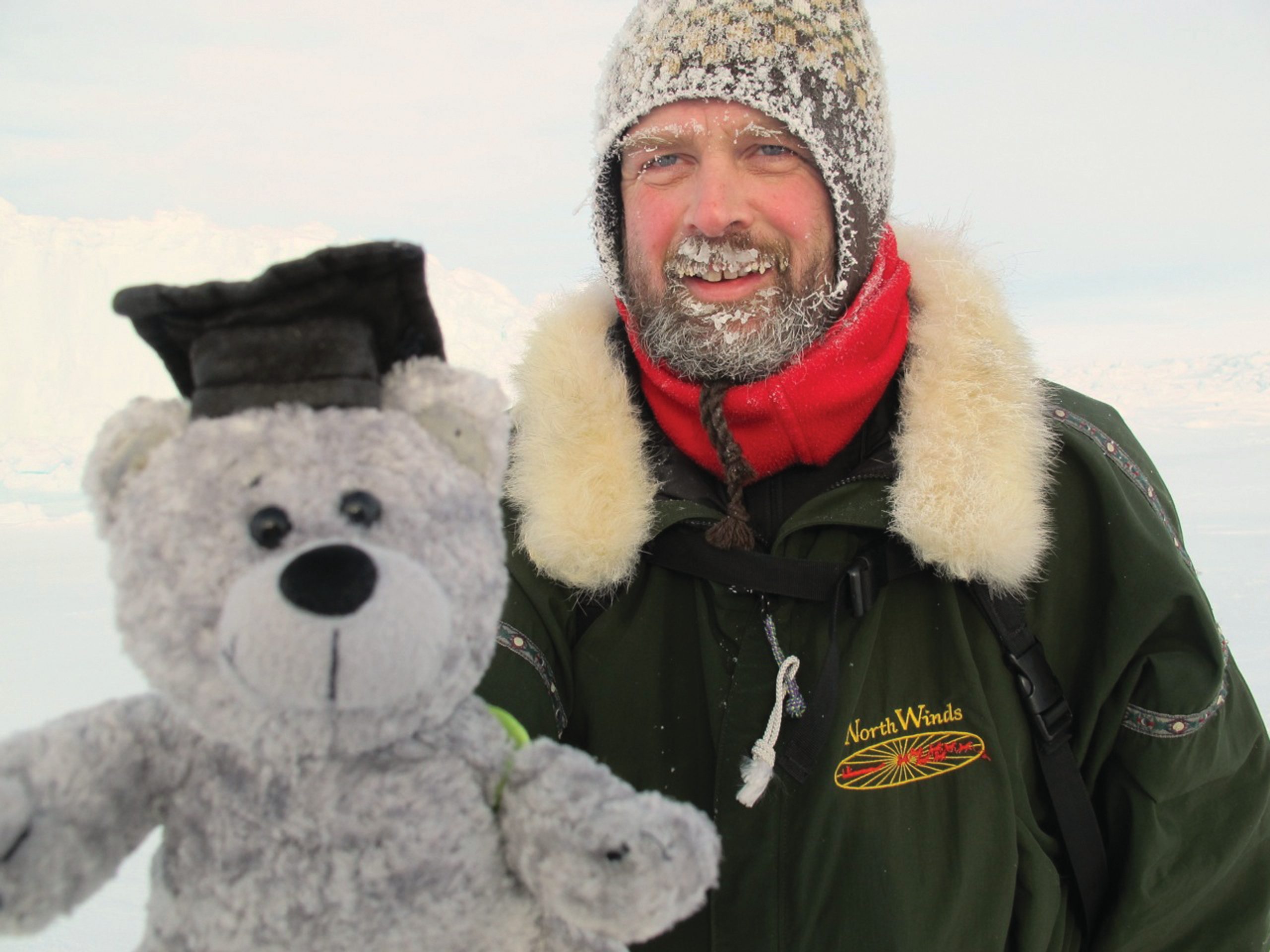 North Pole teddy bear