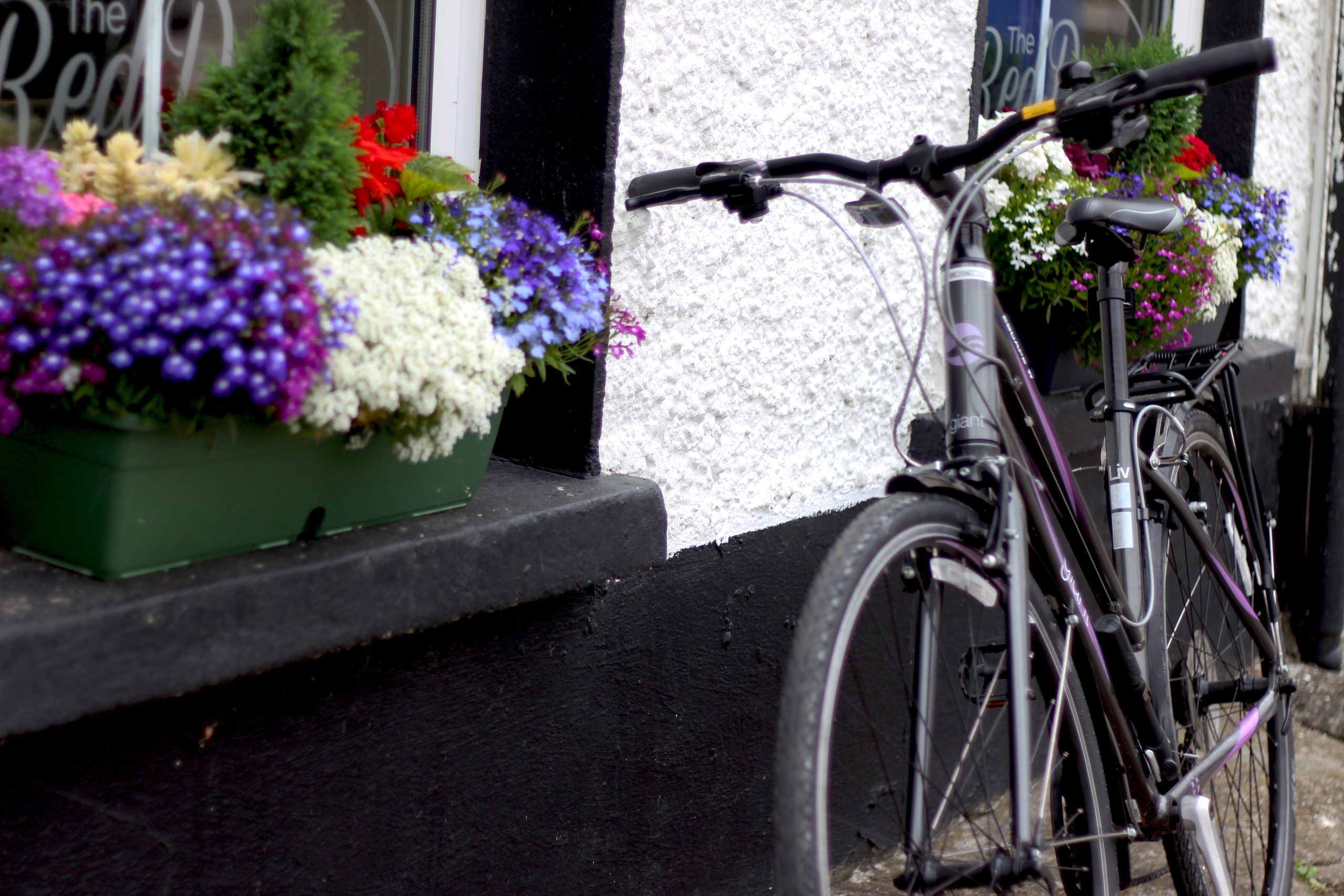 EuroVelo Wexford