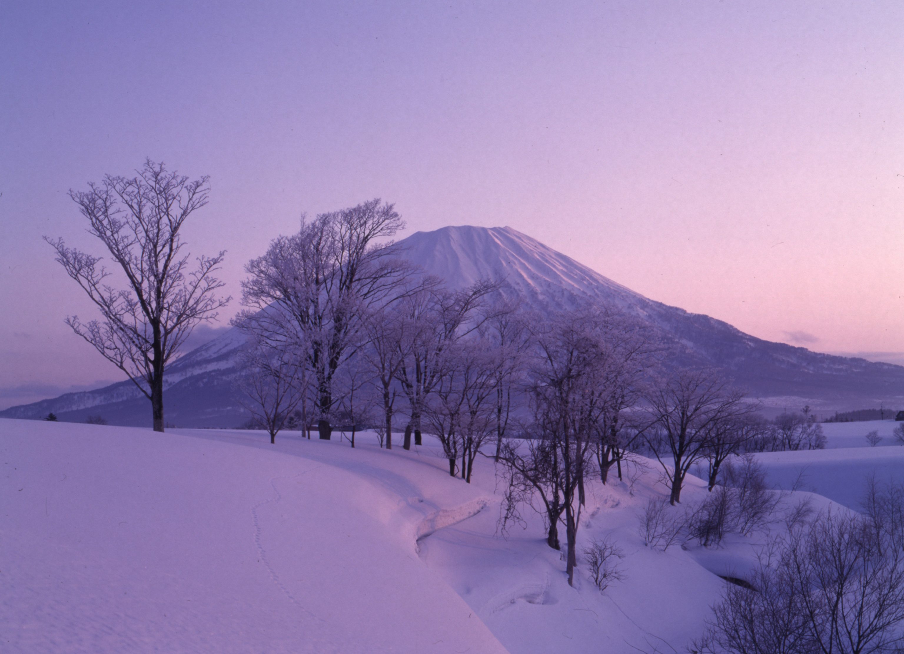 The Niseko ski area