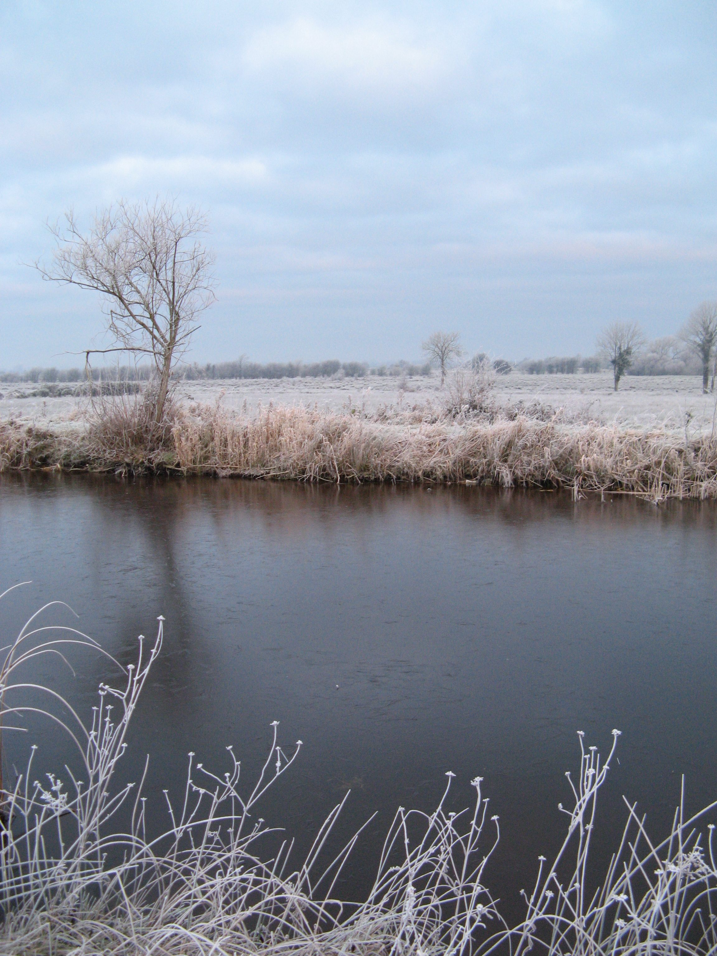 The Grand Canal on a frosty morning