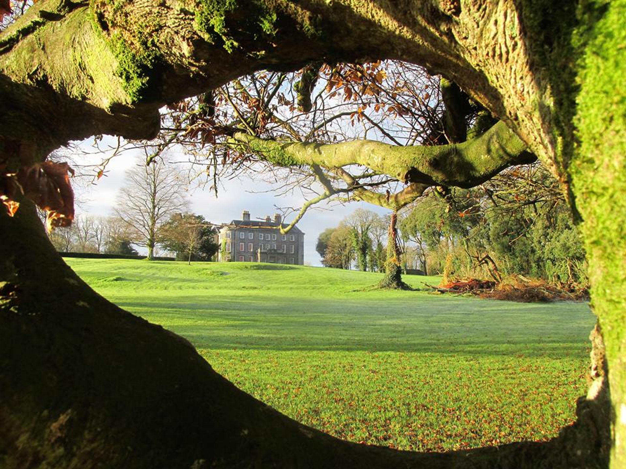 Buggy Friendly Walks 