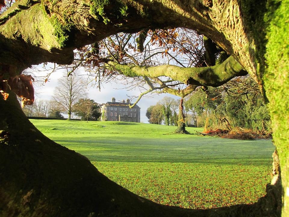 Buggy Friendly Walks
