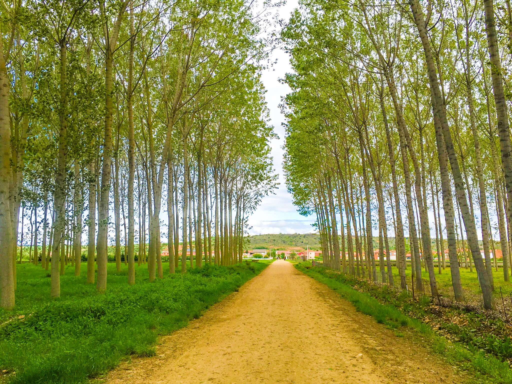 Follow the Camino