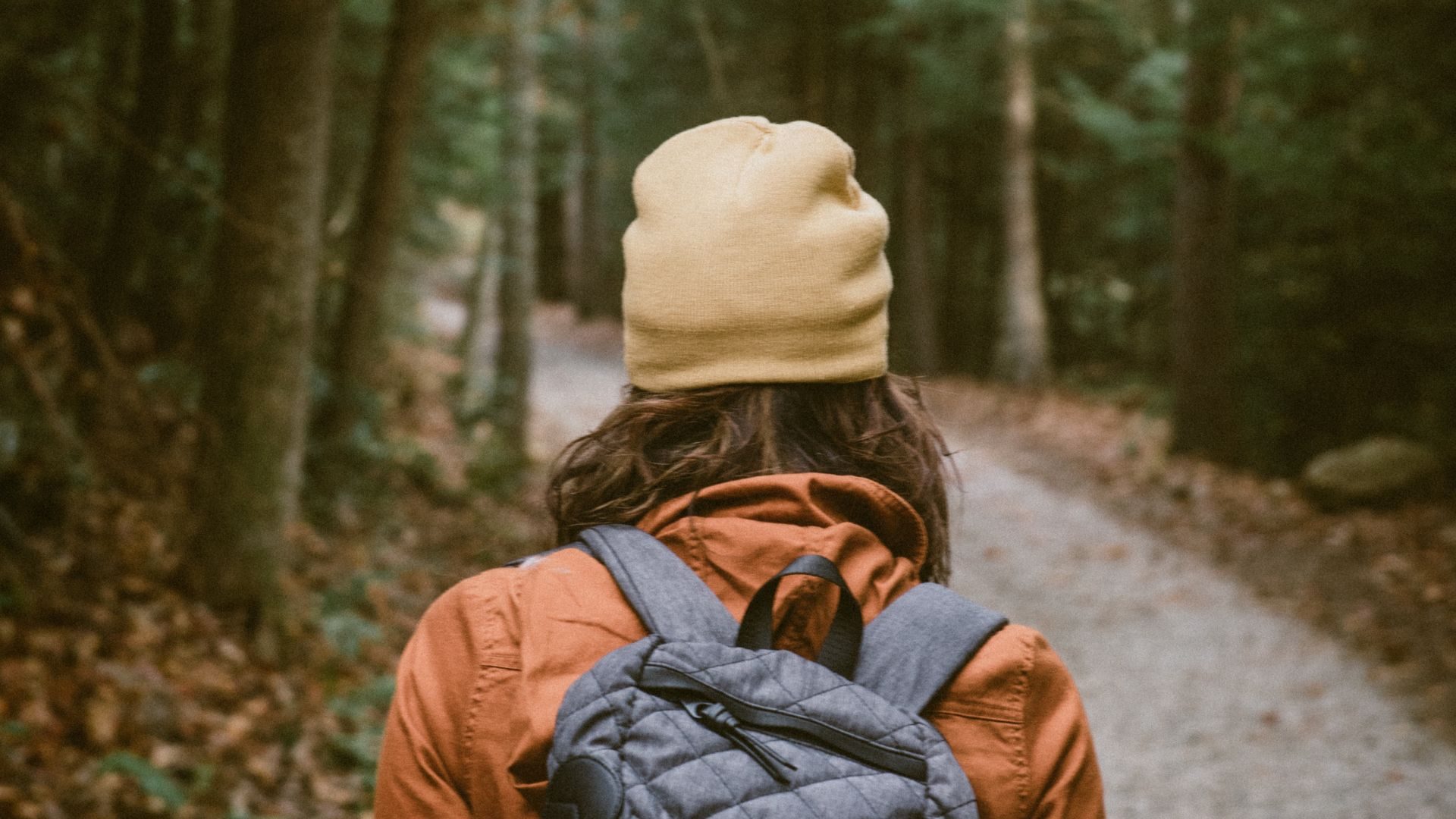 Hiking hiker hike photograph