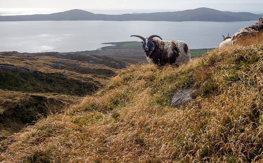 Adventure holidays in Ireland