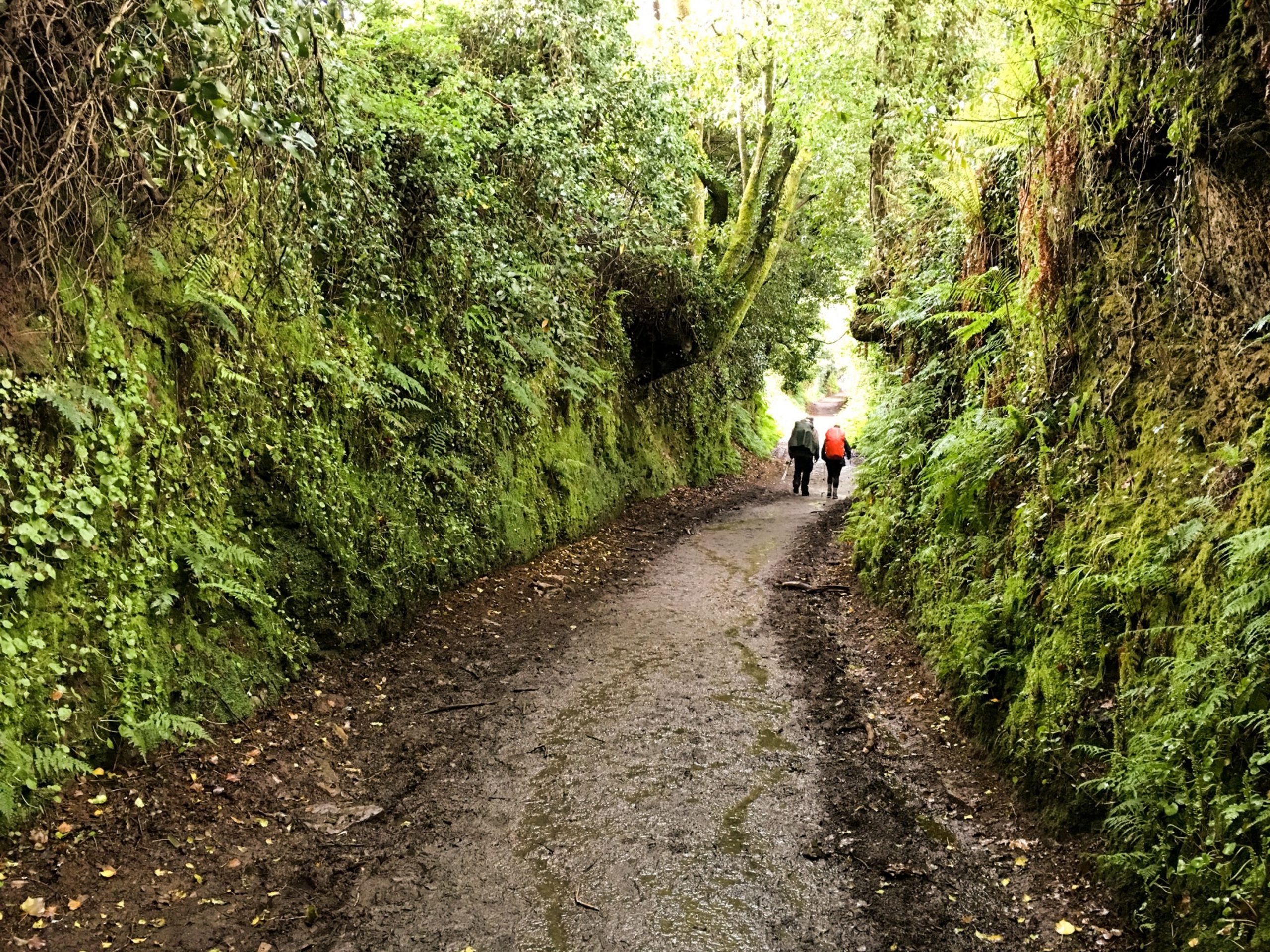 Camino-de-Santiago-tips
