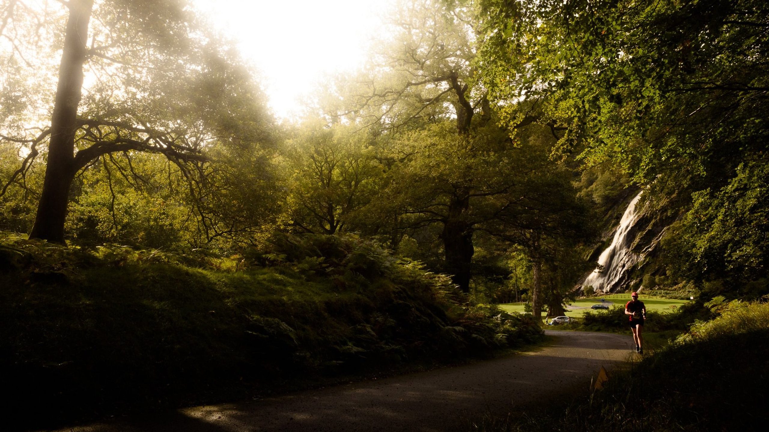 EcoTrail is one of Ireland's most popular outdoor Trail running events