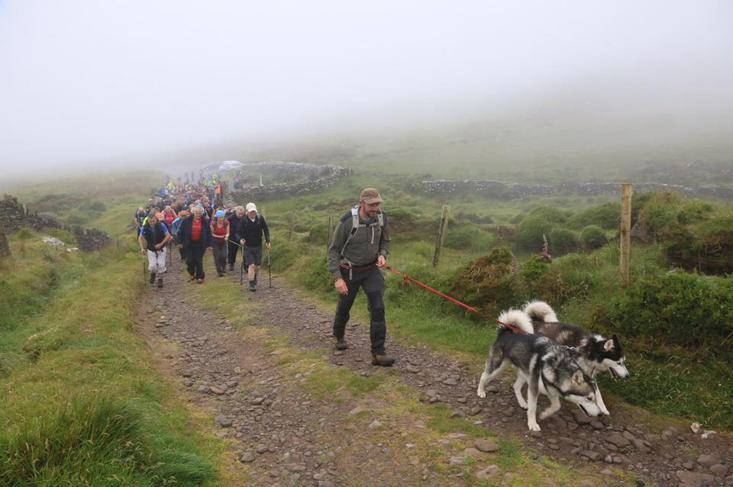 Dog-Friendly Walks in Kerry 