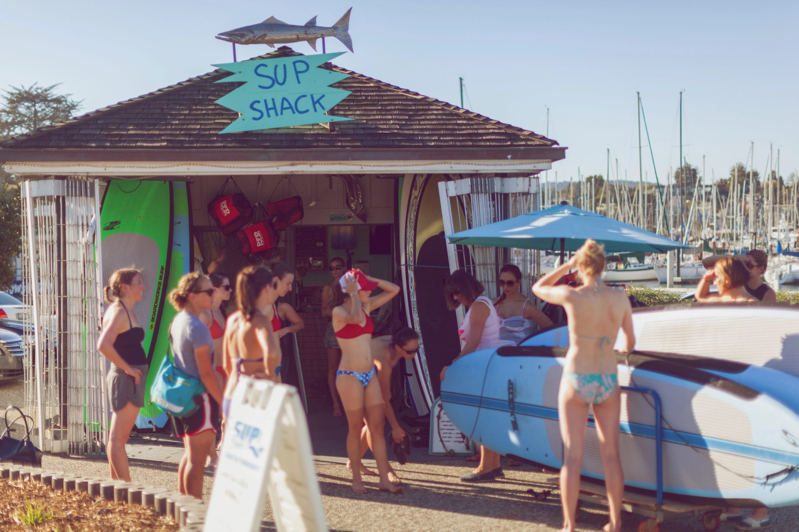 san francisco adventurous activities sup santa cruz 3