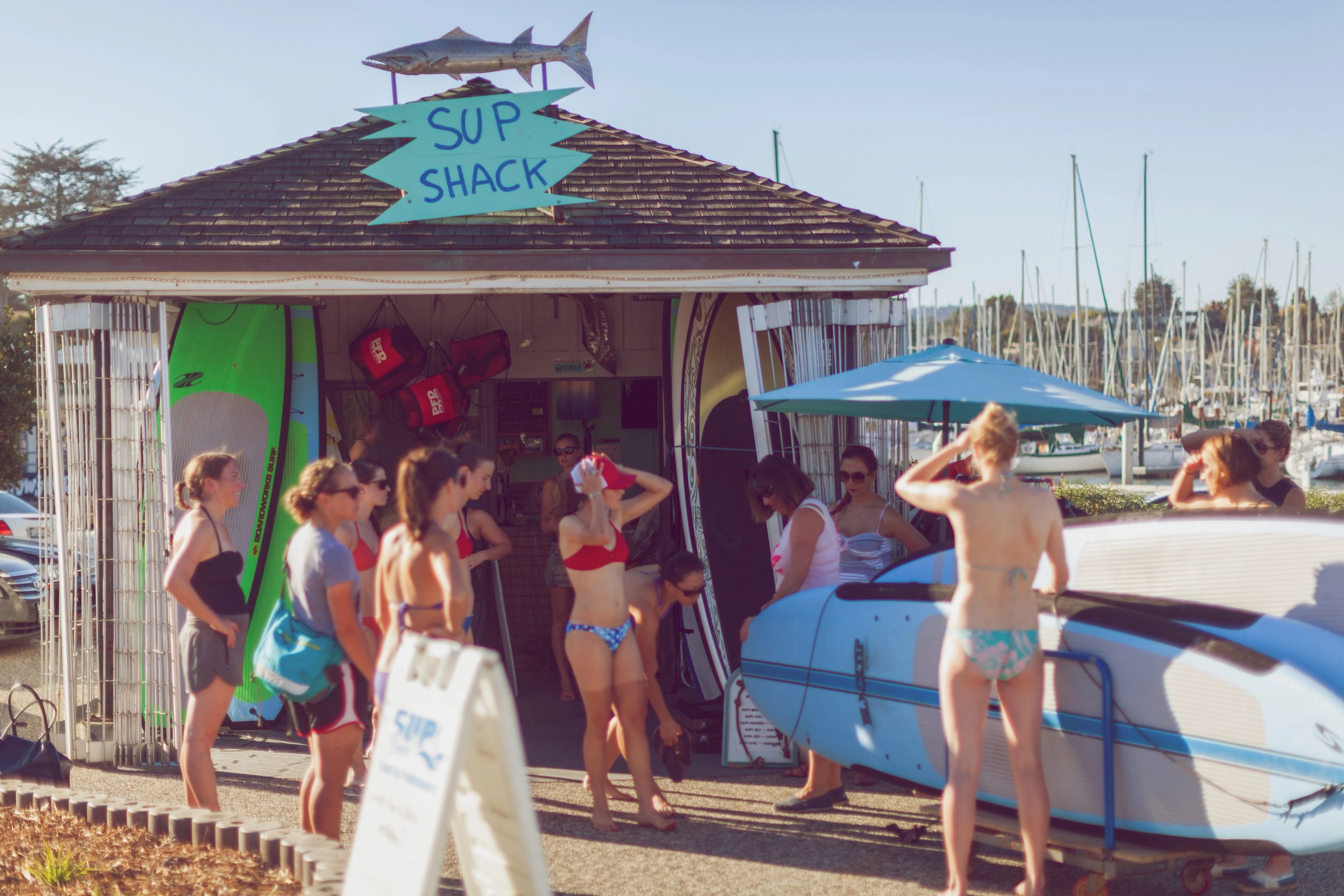 san francisco adventurous activities sup santa cruz 3