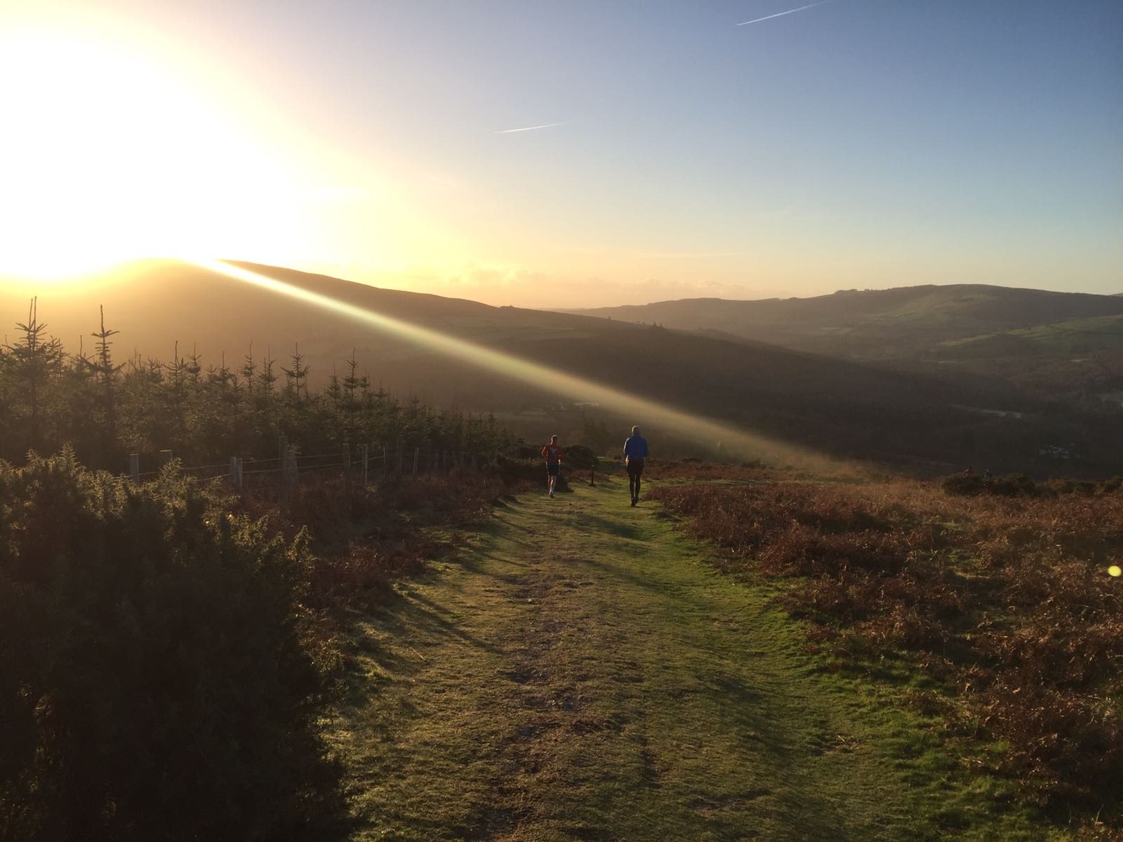 the wicklow way race