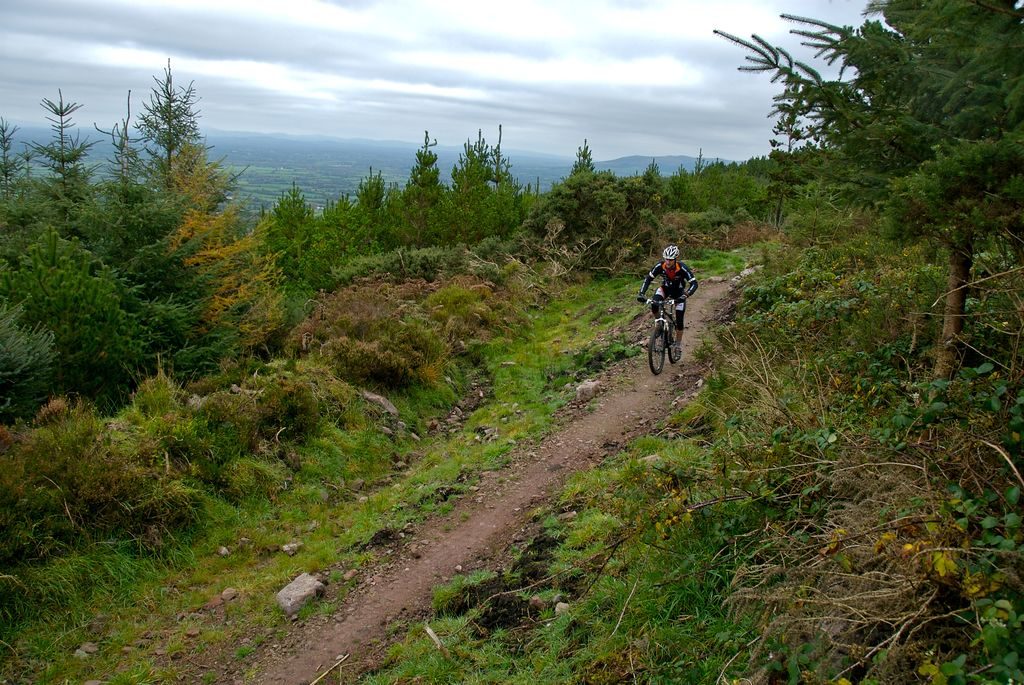Things to do in Limerick