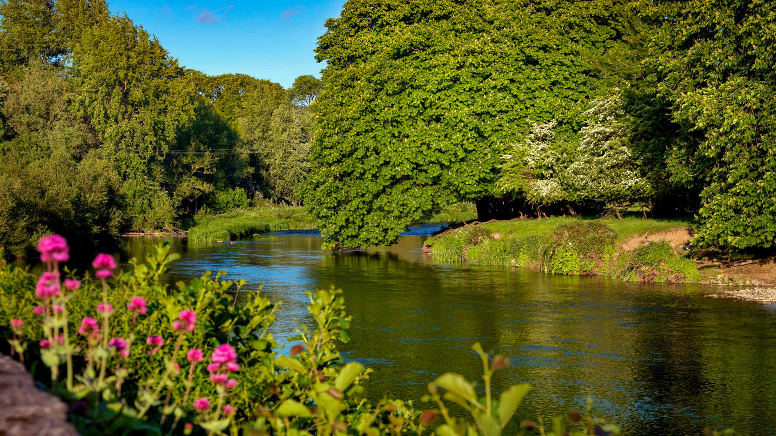 Eco-Friendly Staycation Tips