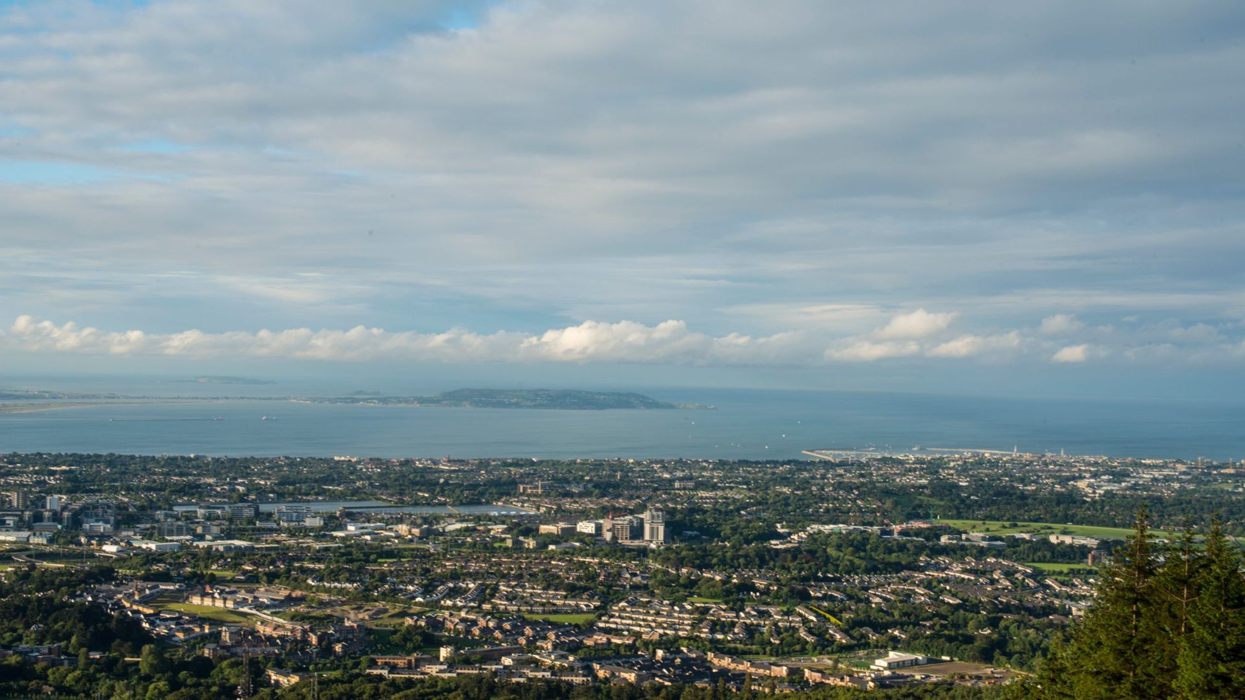 Ticknock View