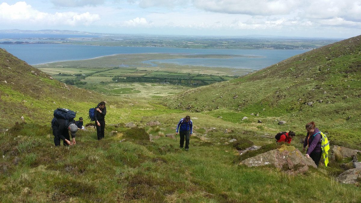 slieve mish