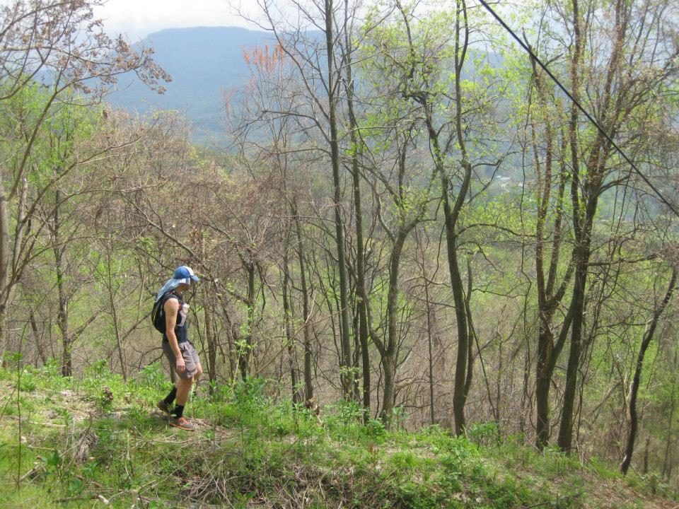 The Barkley Marathons