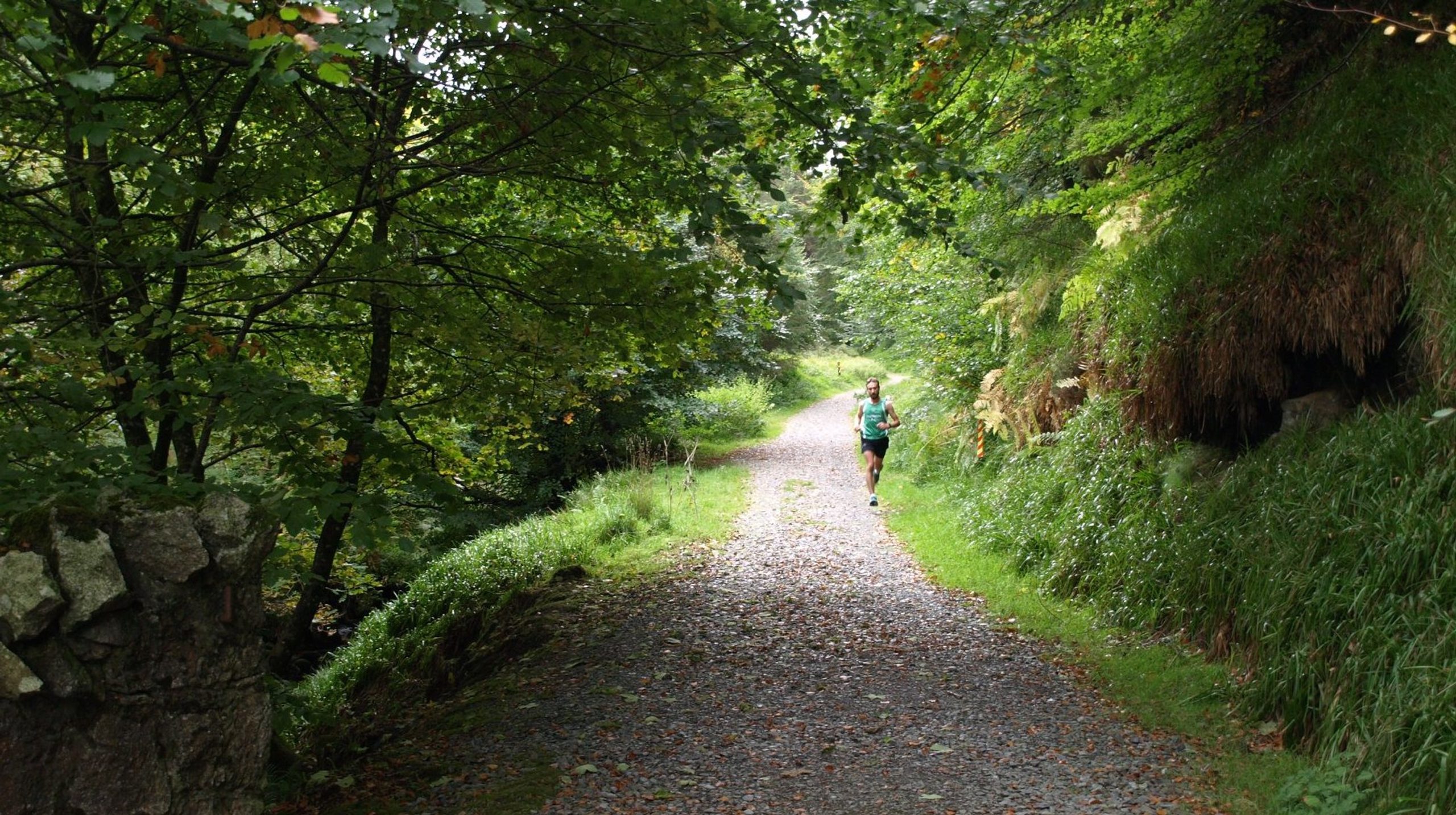 Trail Running Races 2019