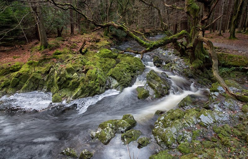 camping spots Mourne Coastal Route