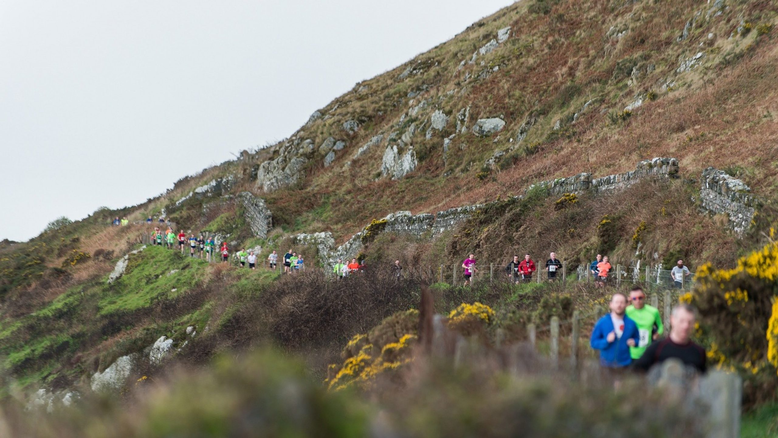 Best Irish Events in Autumn
