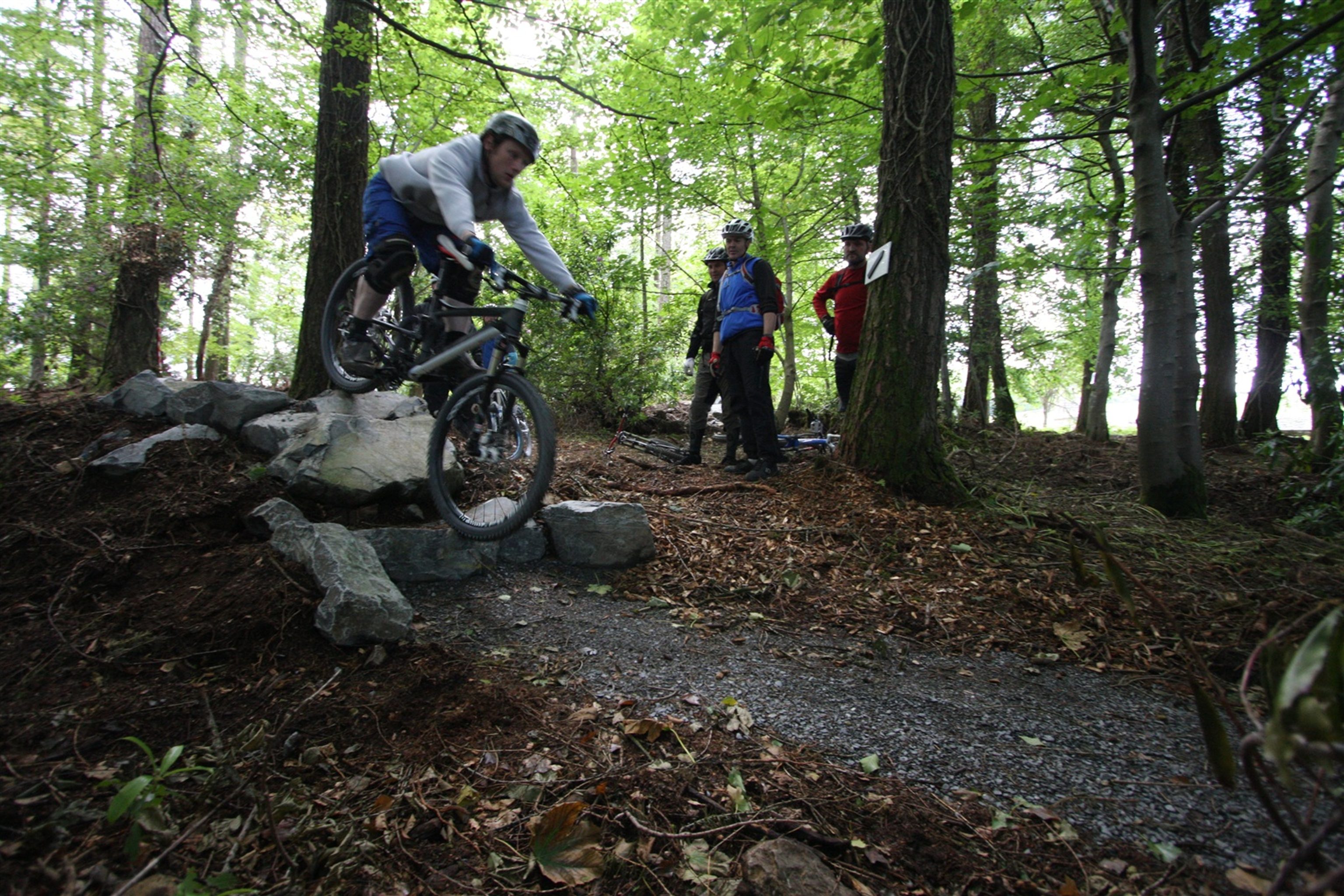 tollymore mountain bike centre