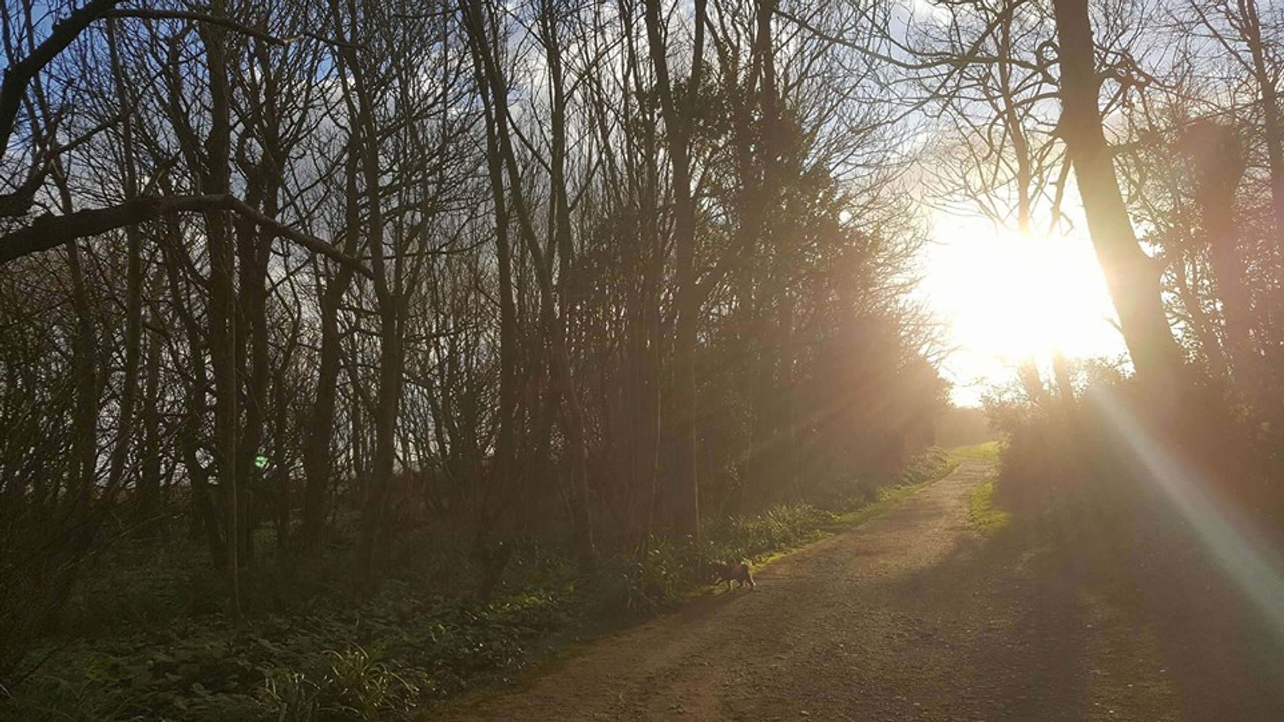 Buggy Friendly Walks