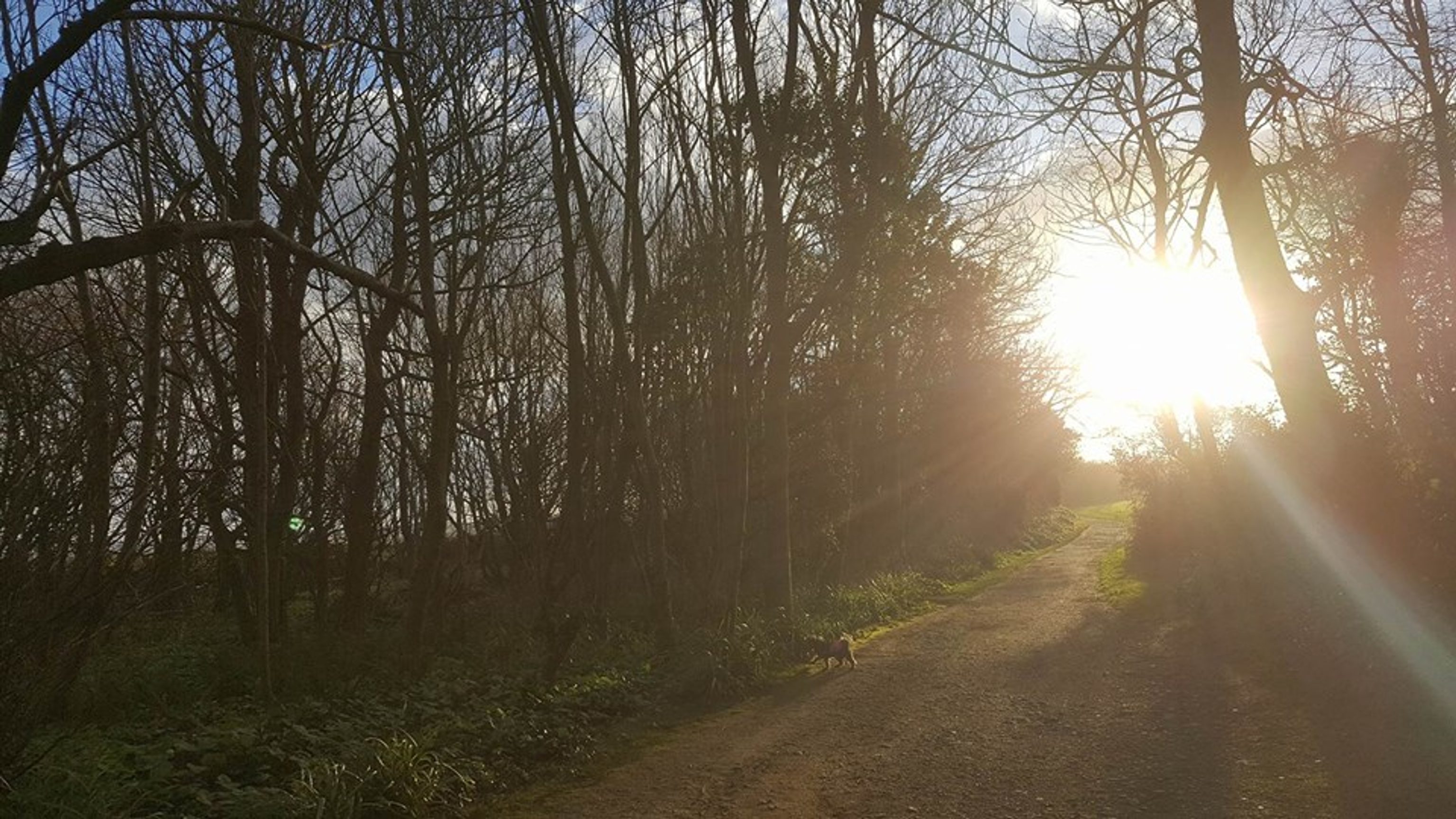 Buggy Friendly Walks