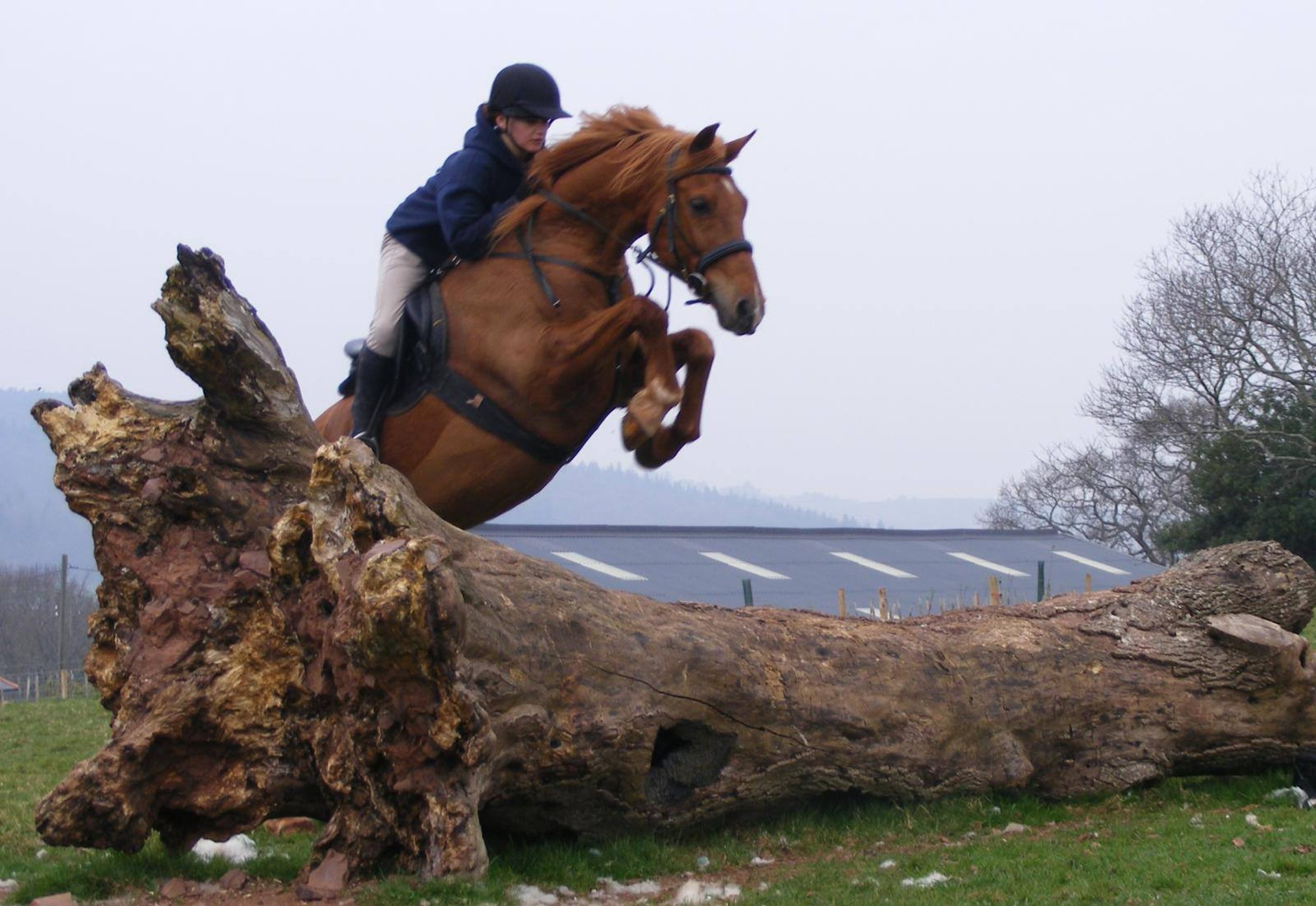 Things to do in Leitrim