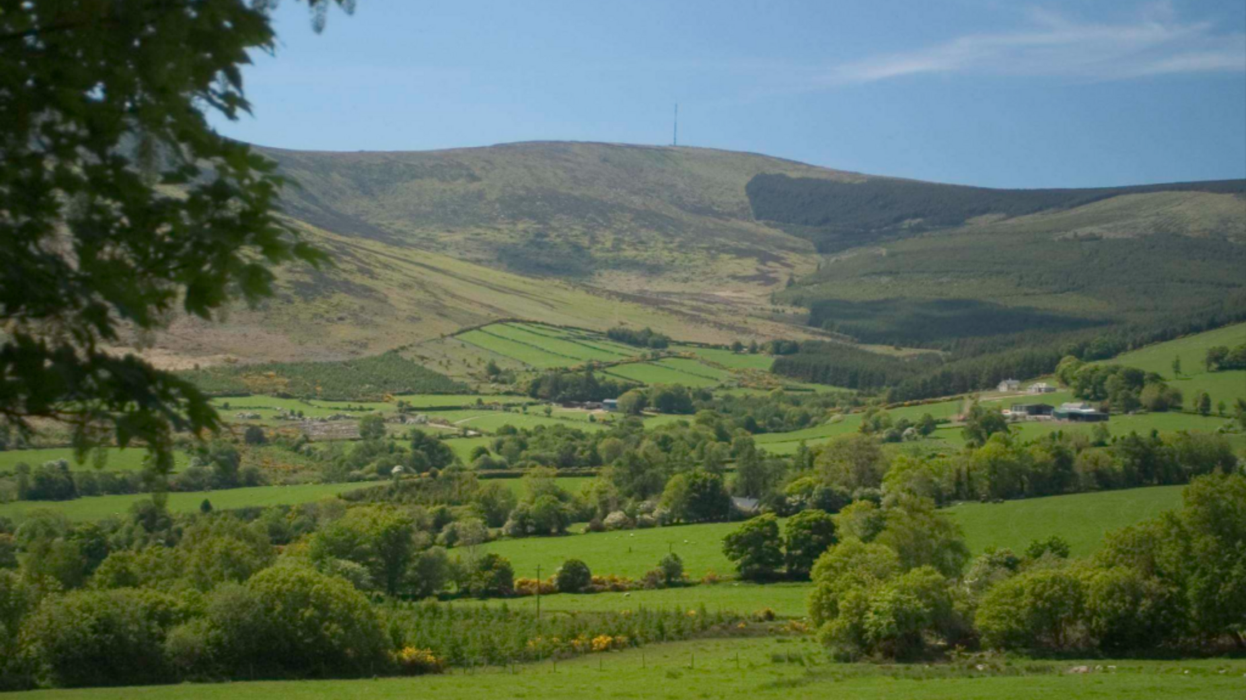 Mount Leinster