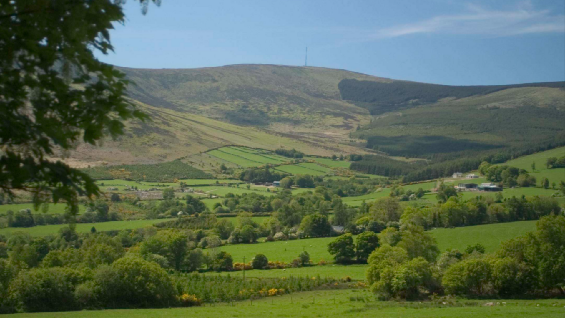 Mount Leinster