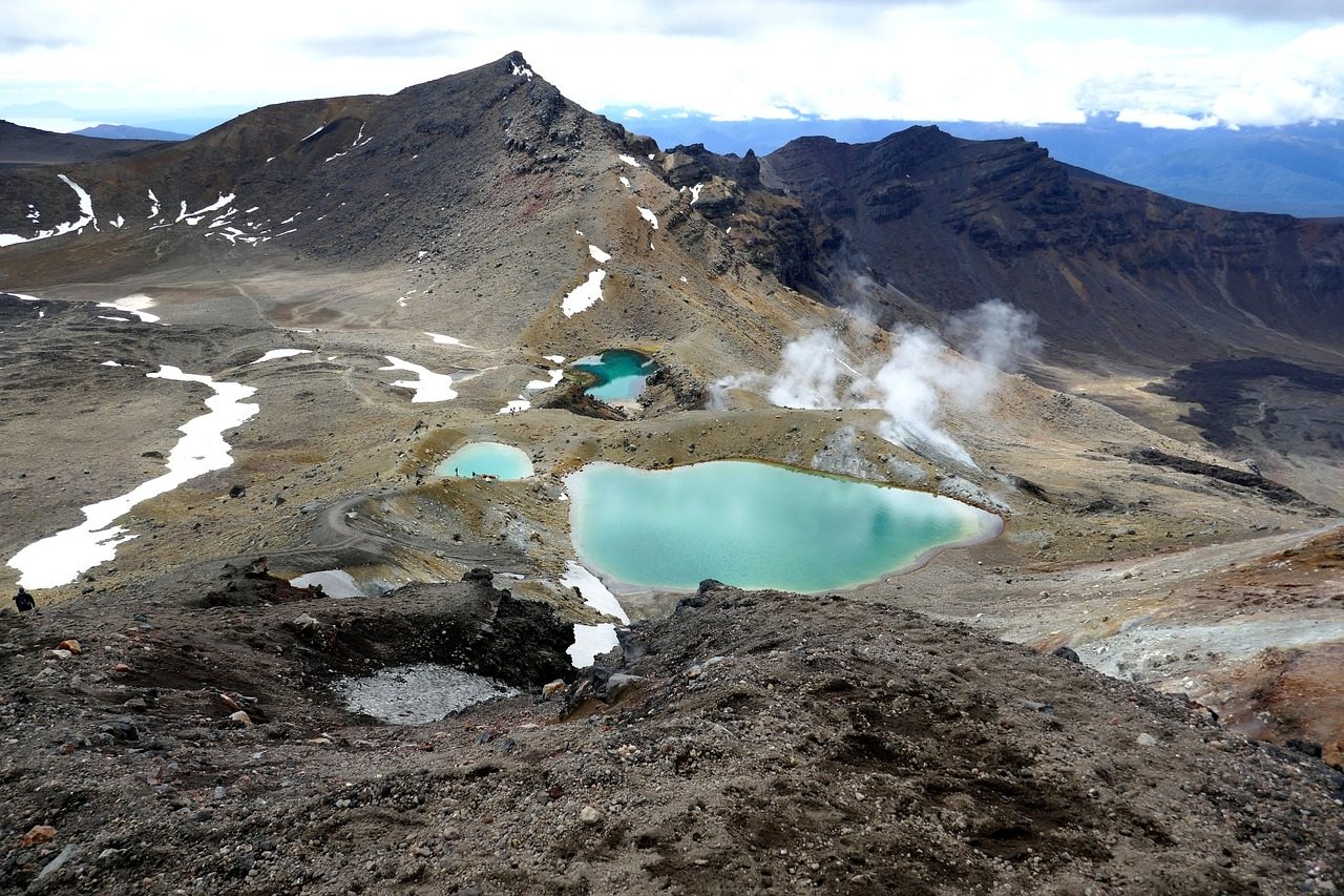 New Zealand Adventures