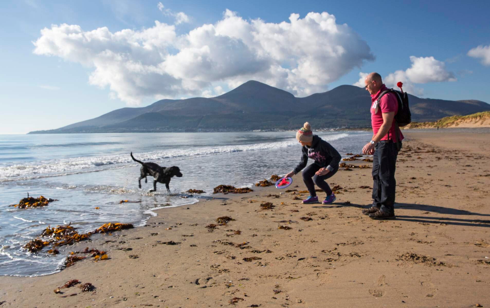 Murlough National Nature Reserve, Newcastle, Co Down