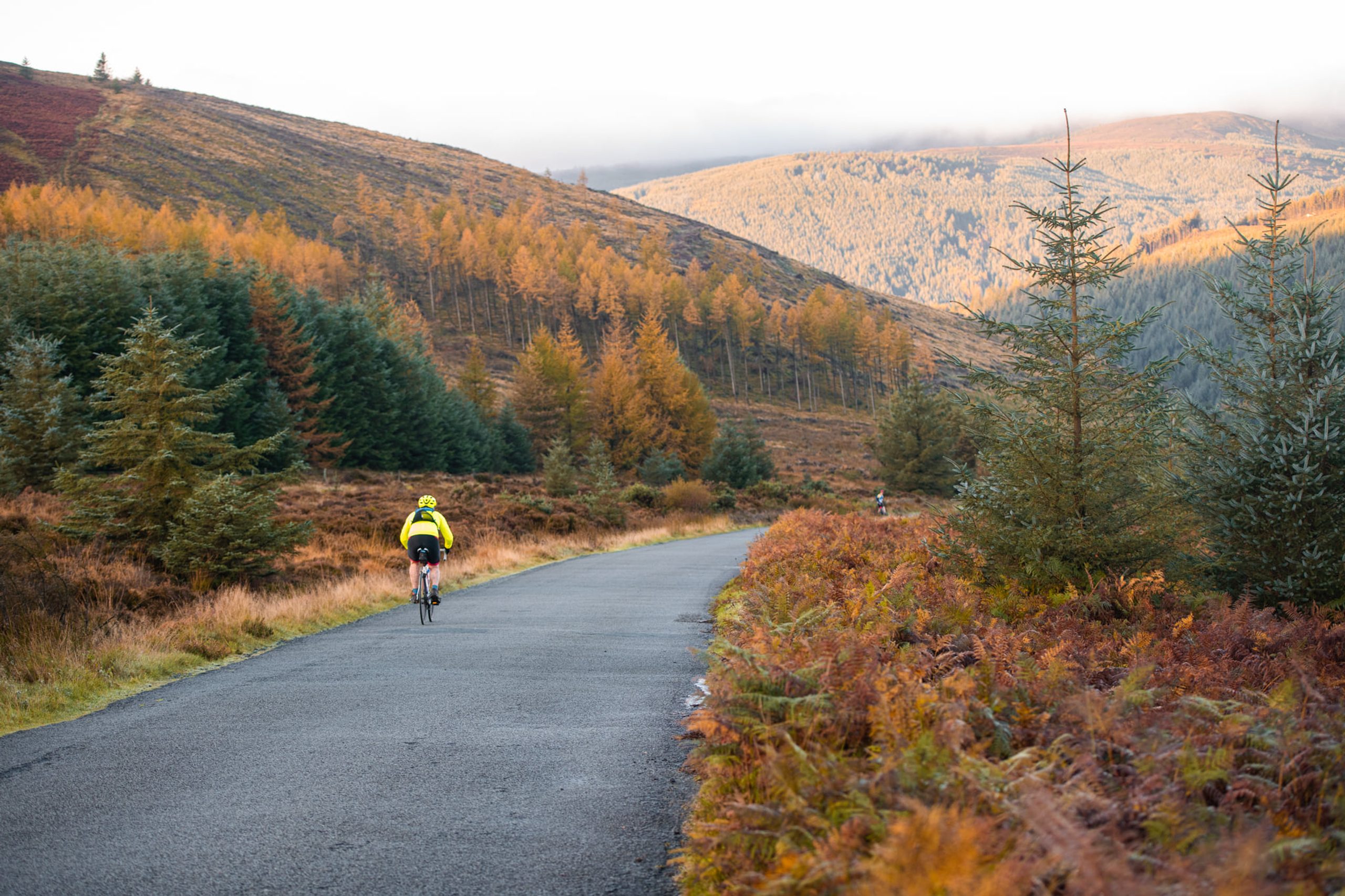 Quest Glendalough
