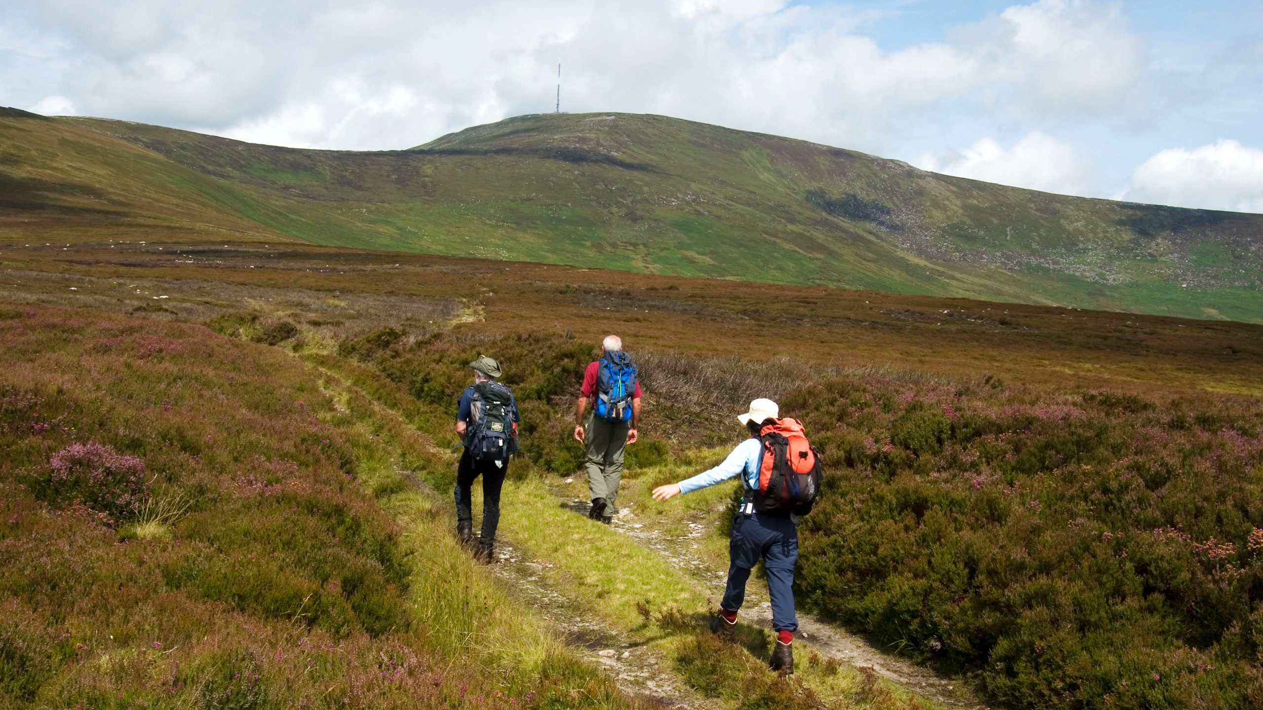 Carlow Walking Festival: Walking to Mt. Leinster