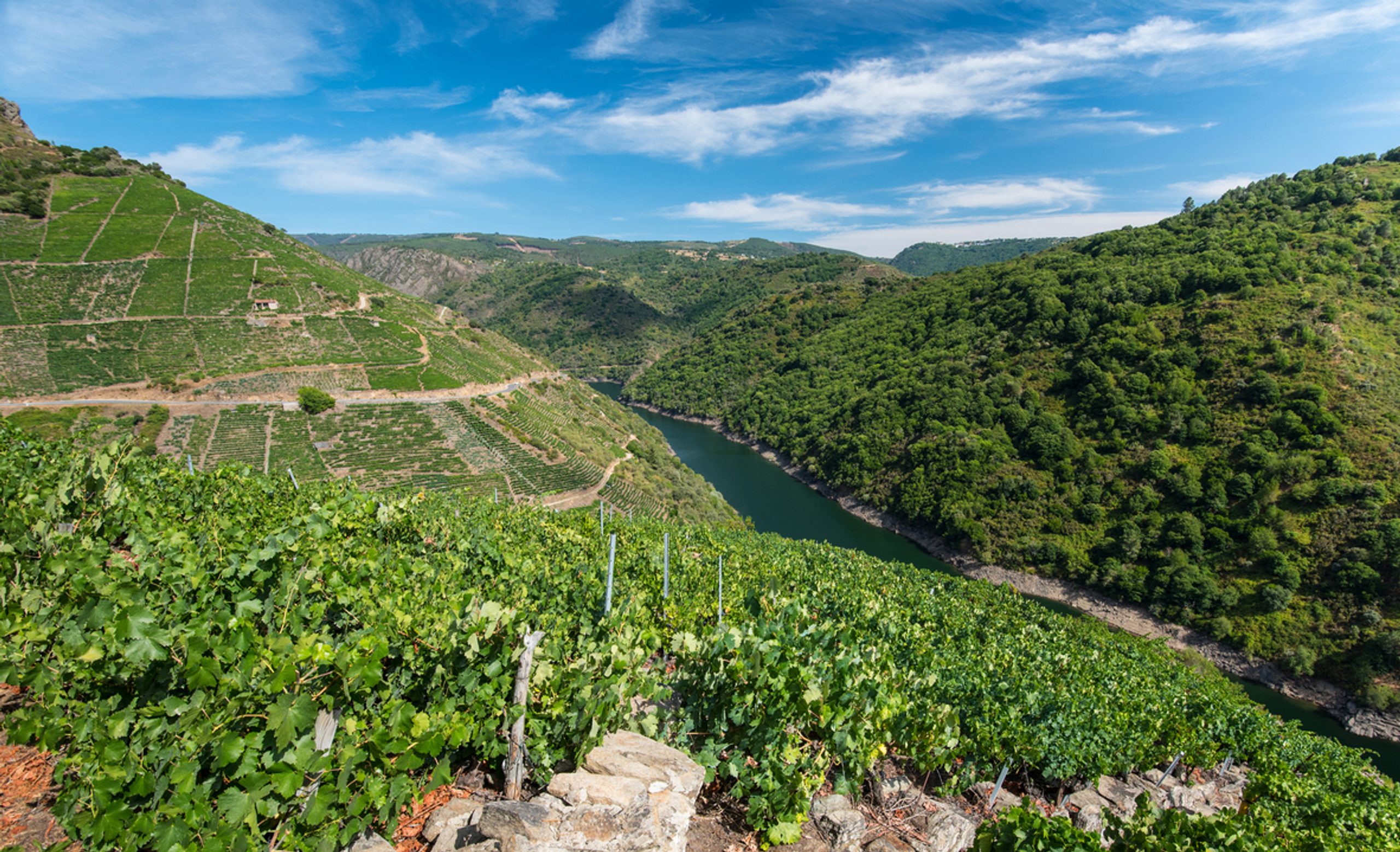 Camino routes alternative