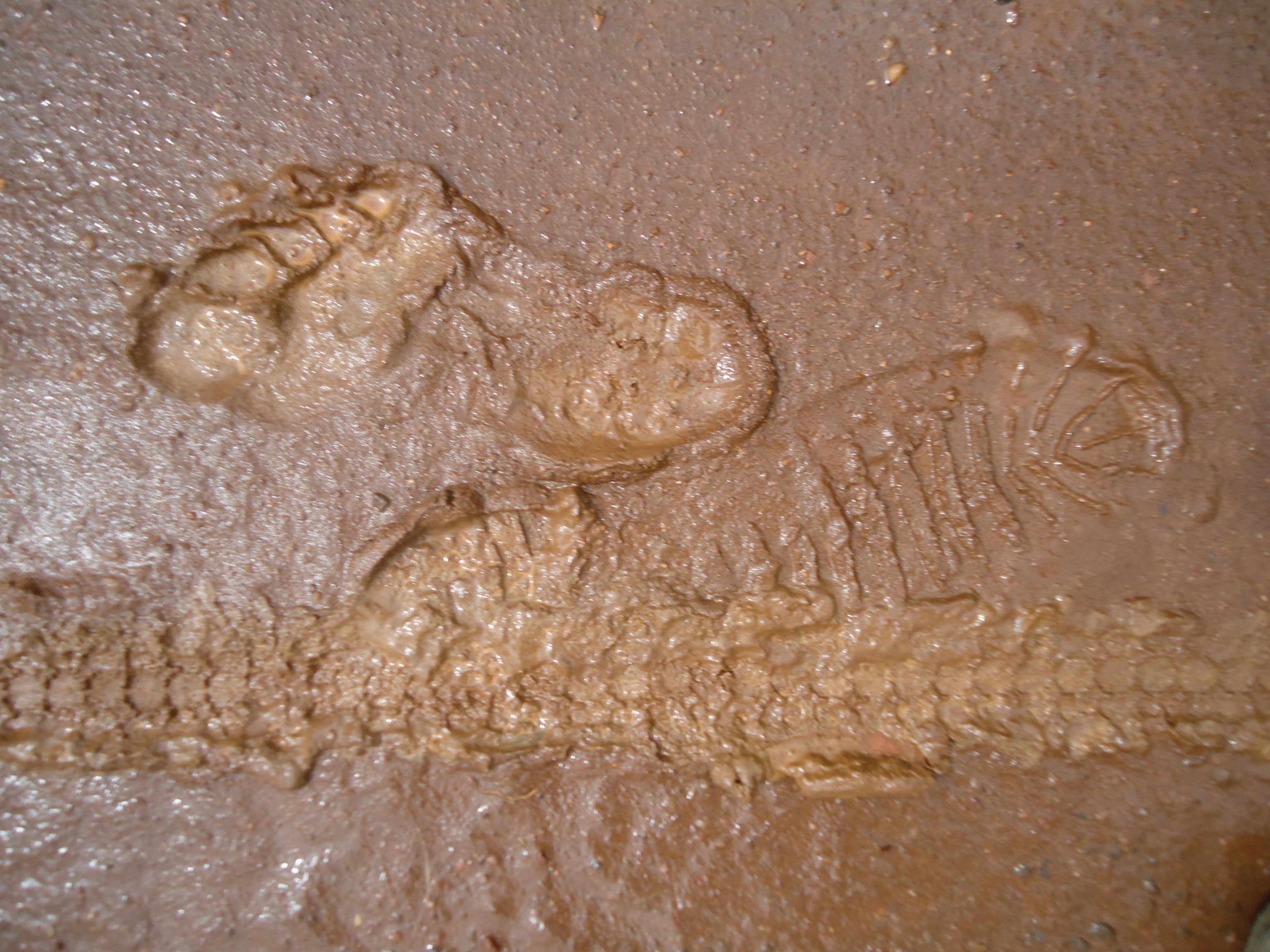Footprints on the road in Rwanda.