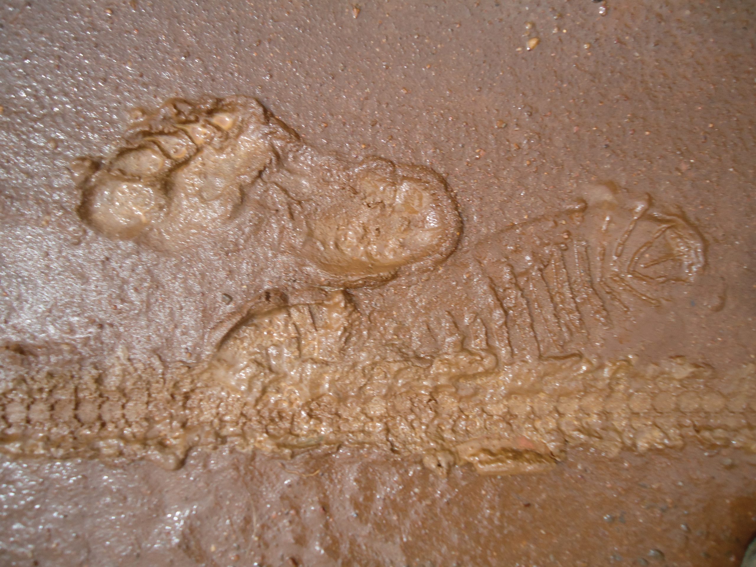 Footprints on the road in Rwanda.