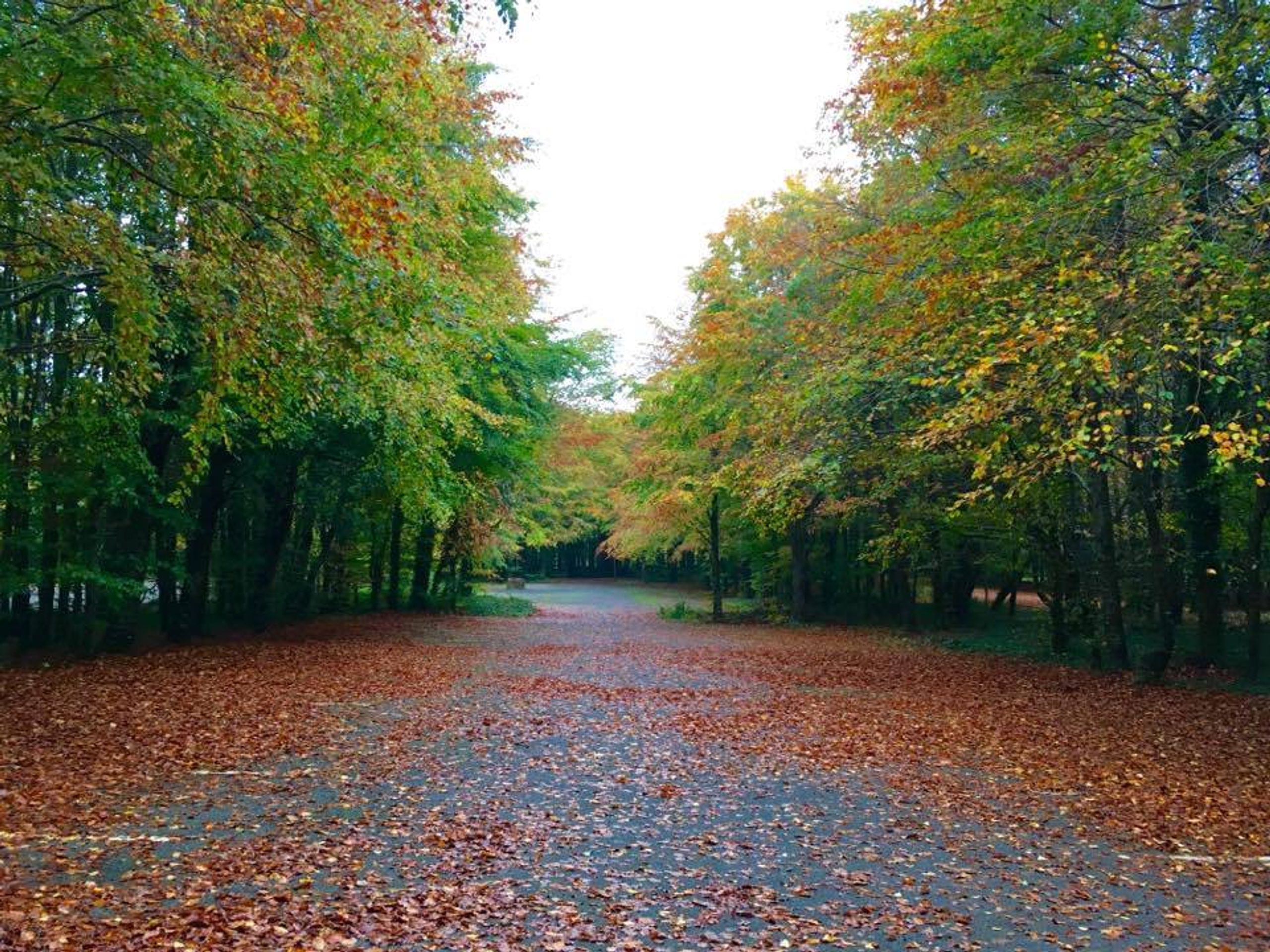 Buggy Friendly Walks 