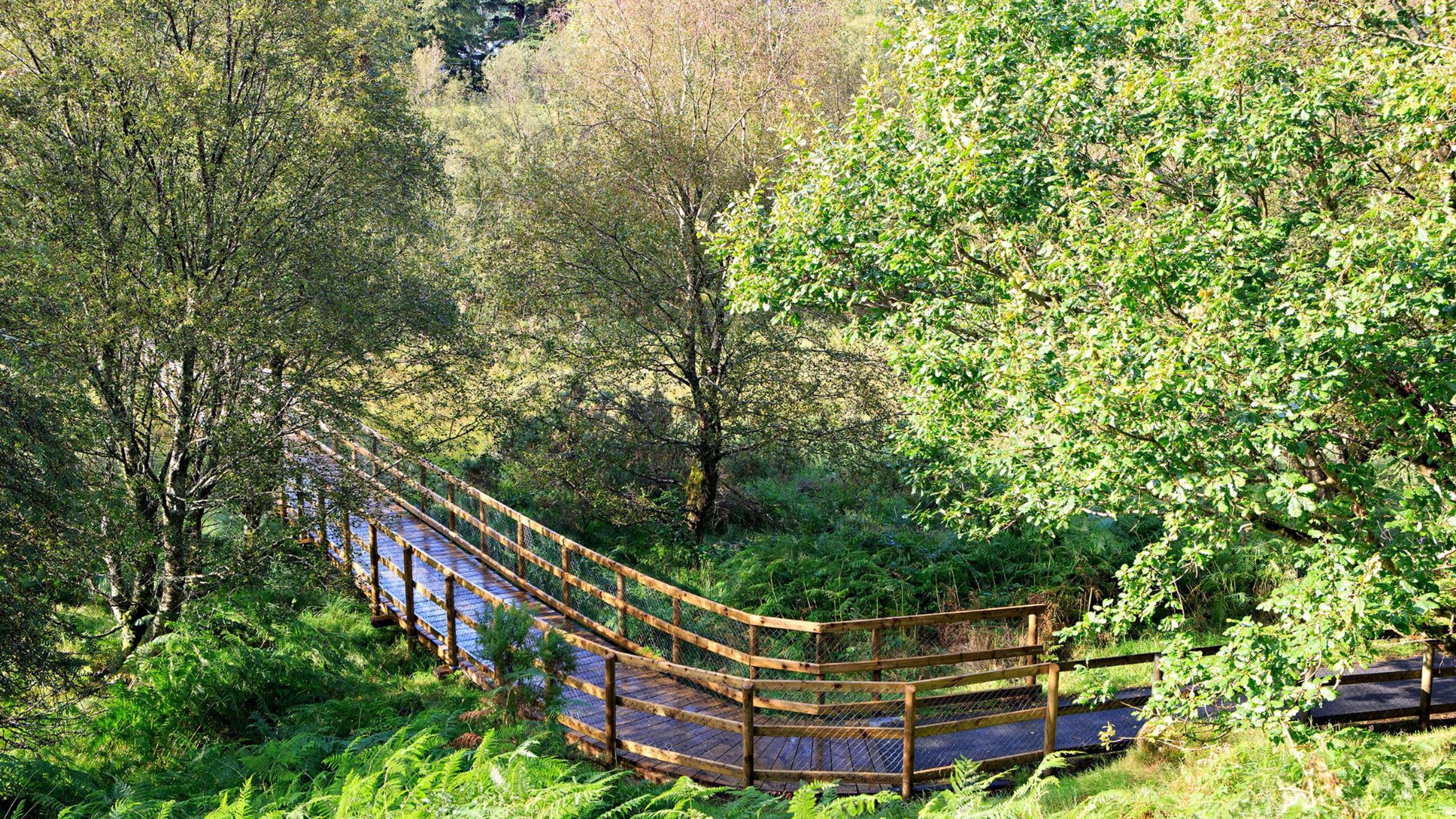 Glendalough Boardwalk Trail