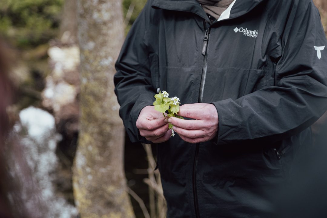 Learning about foraging