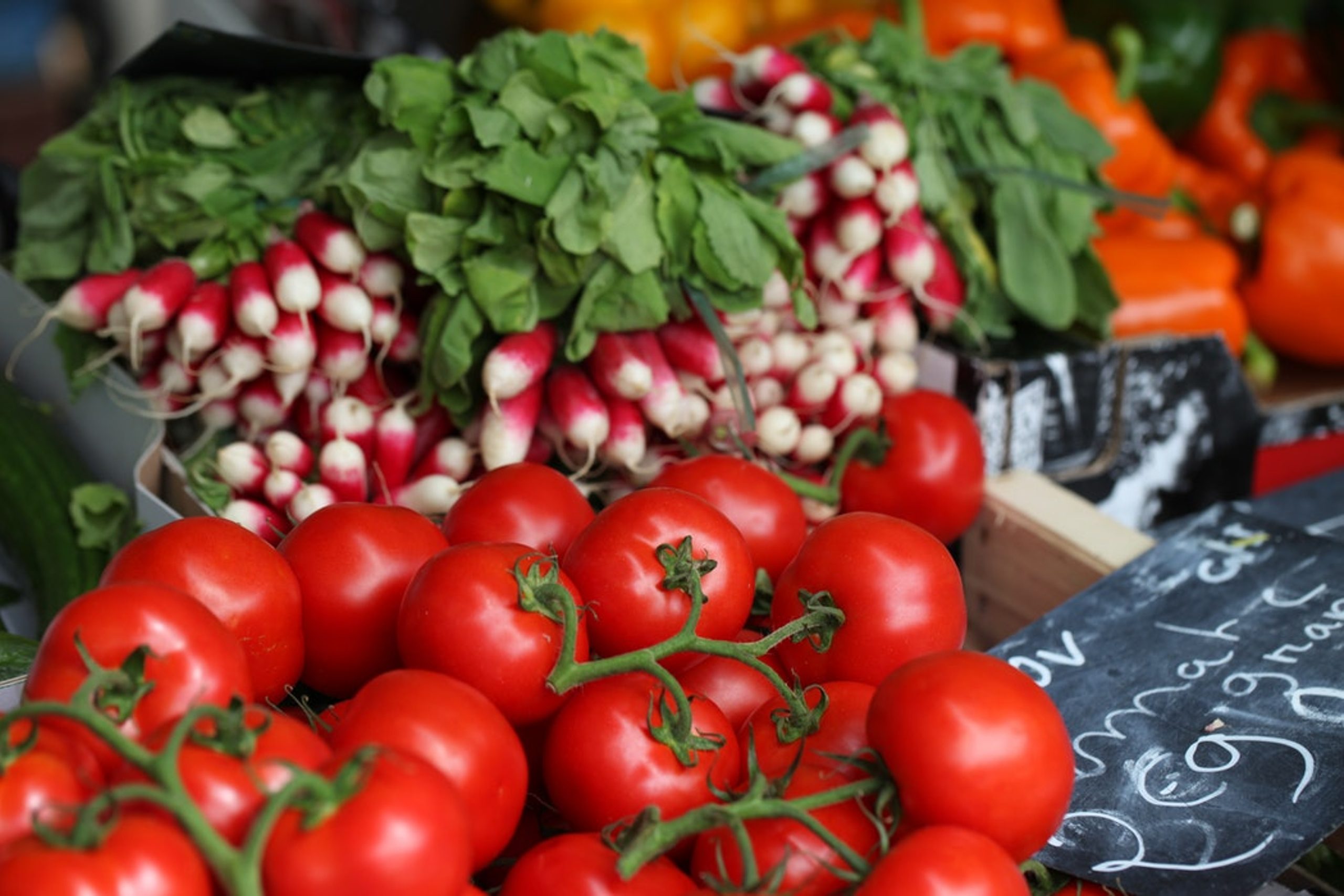 Diet Myths Debunked 