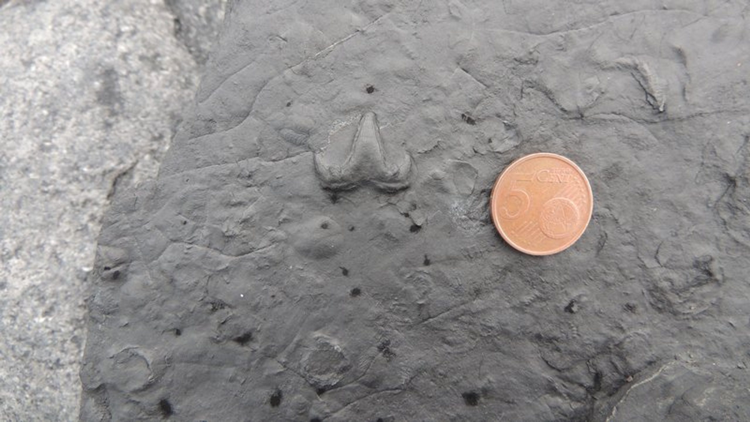 Places to Experience Ireland’s Geology