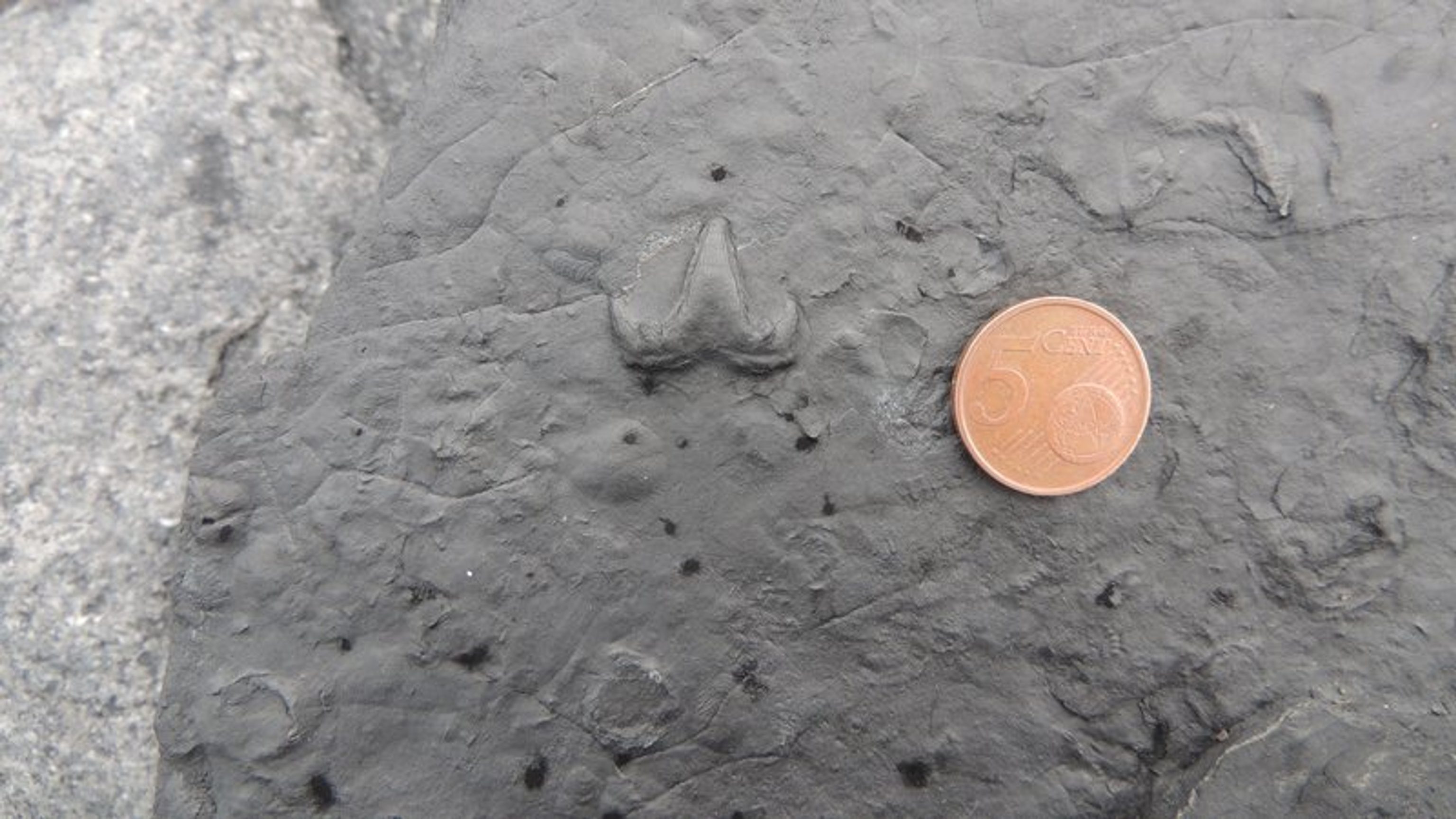 Places to Experience Ireland’s Geology
