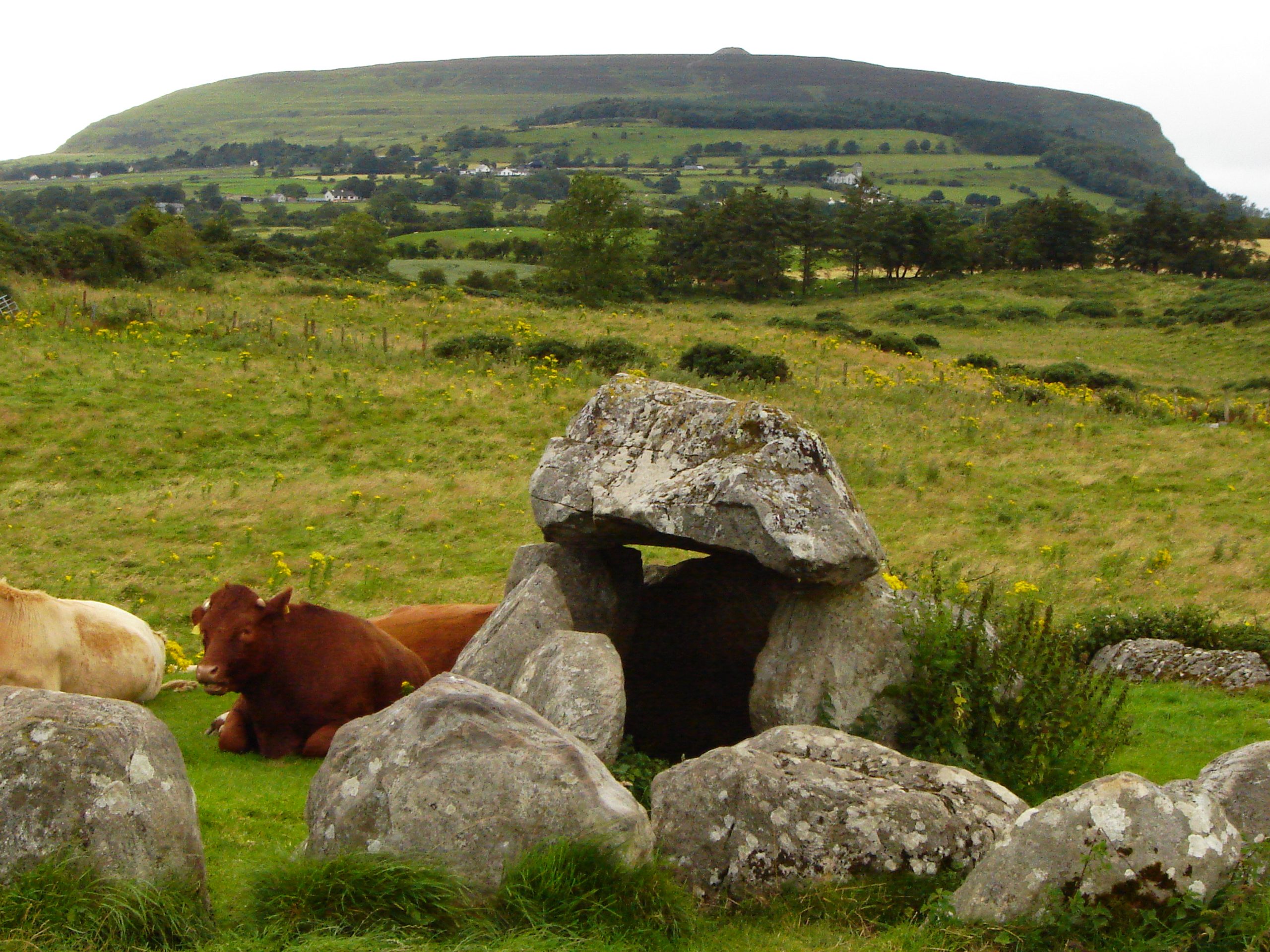 knocknarea dunmoran strand