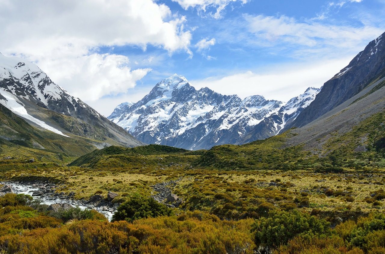 New Zealand Adventures