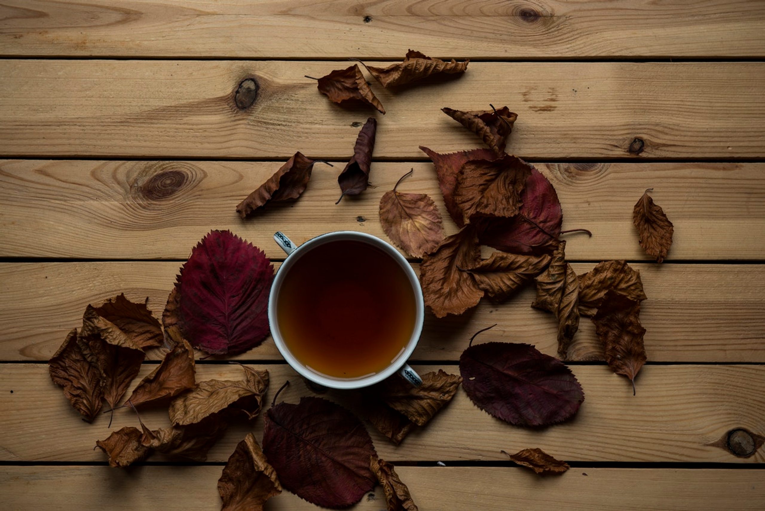 Plastic Free Tea Bags