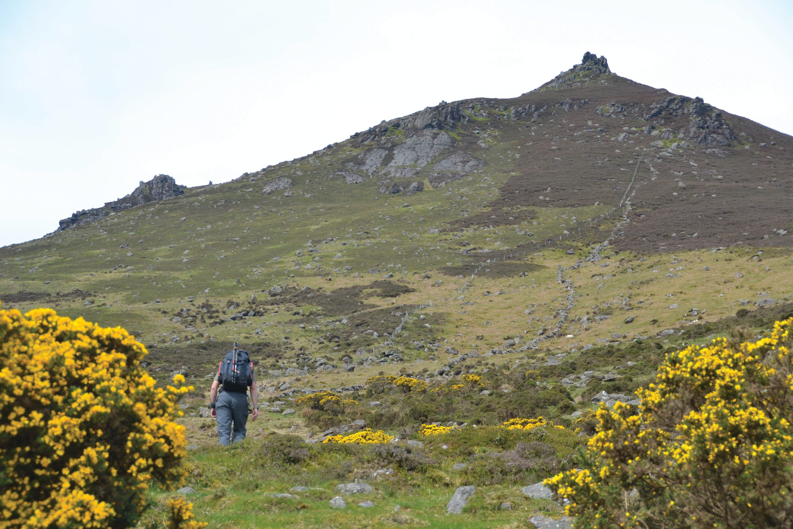comeragh mountains (3)